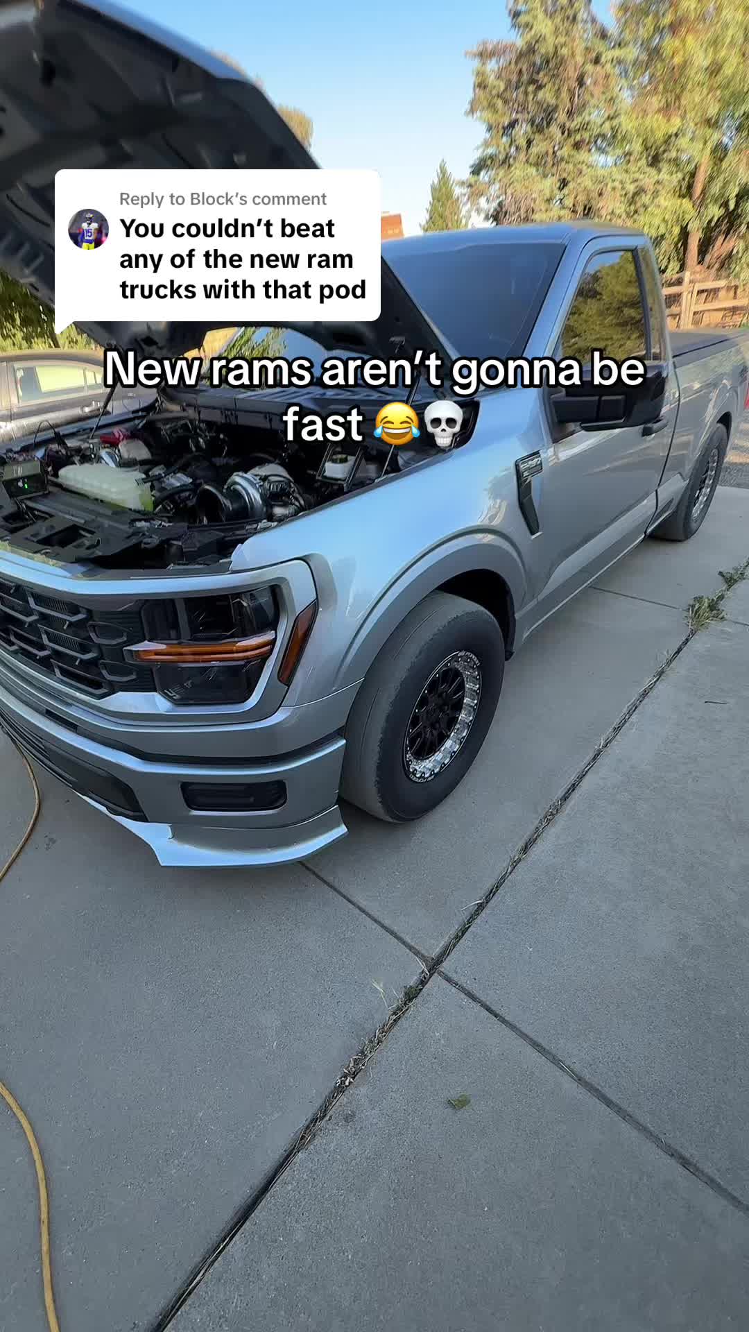 @🐌 🐺