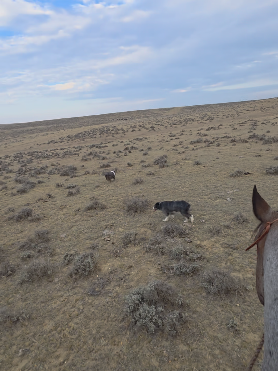 @wyomingrancher