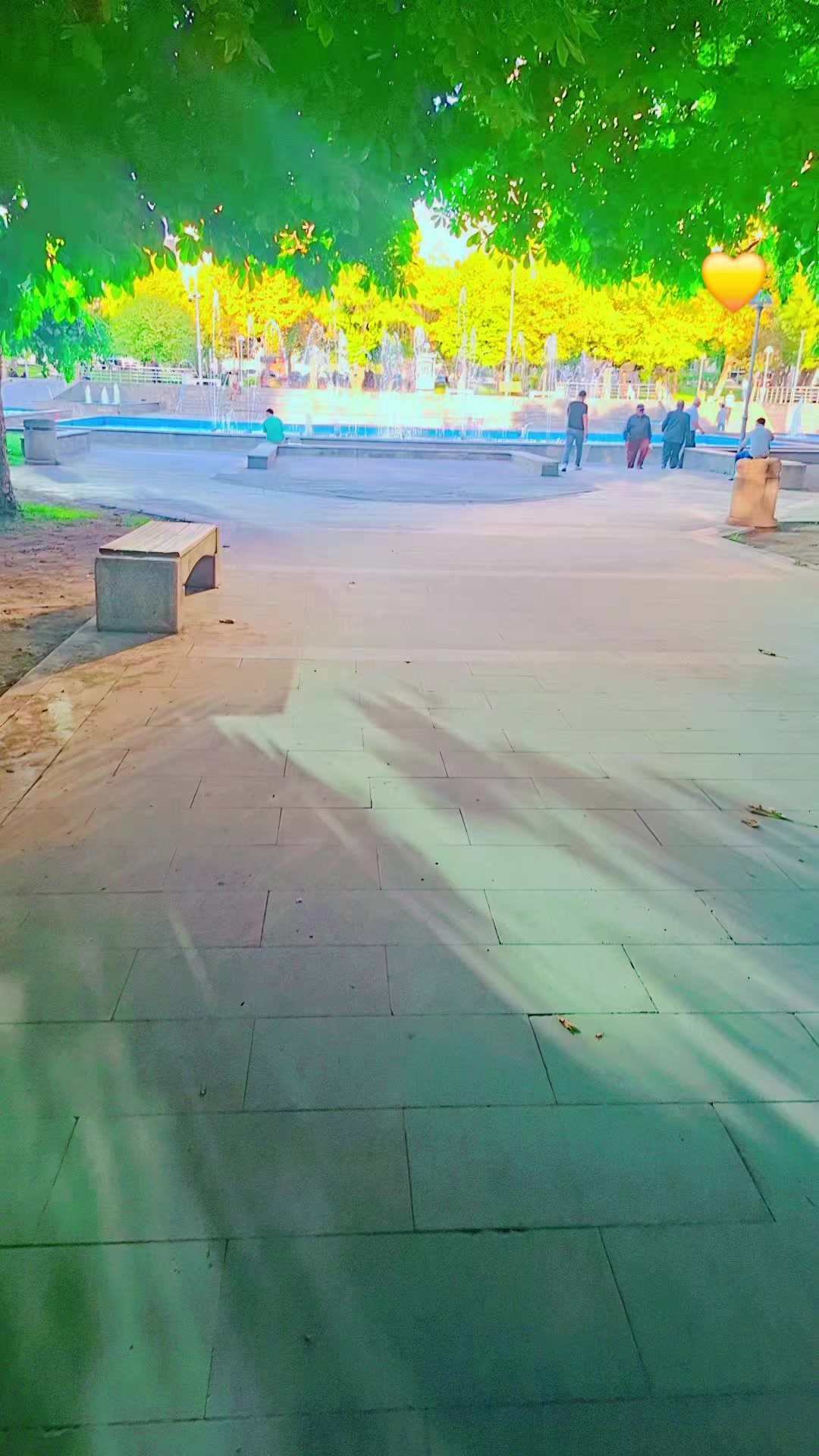 @💛🌻꧁༺ الأصيلـة ༻꧂💛🌻