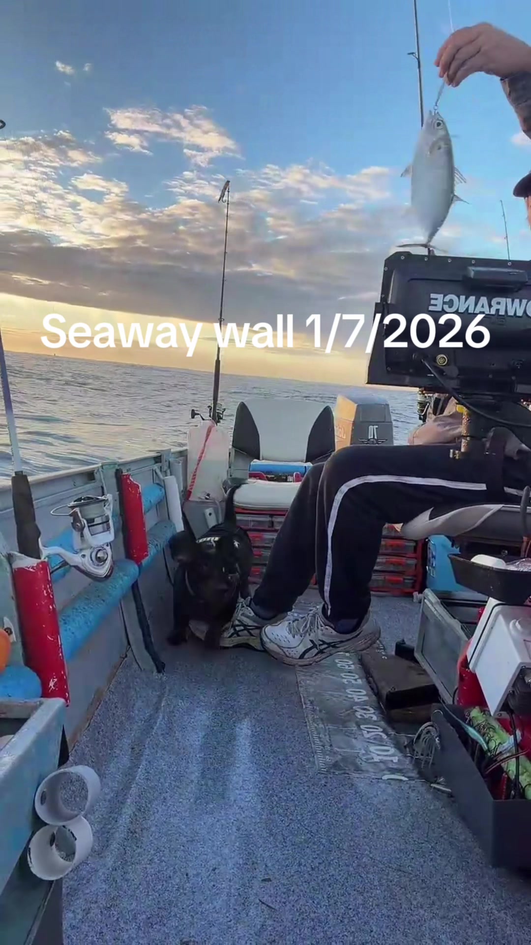 @Roxy’s Fishing Channel