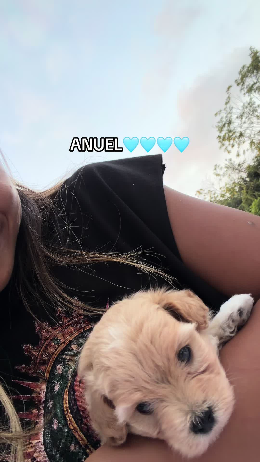 @SABRYNA17🇧🇷
