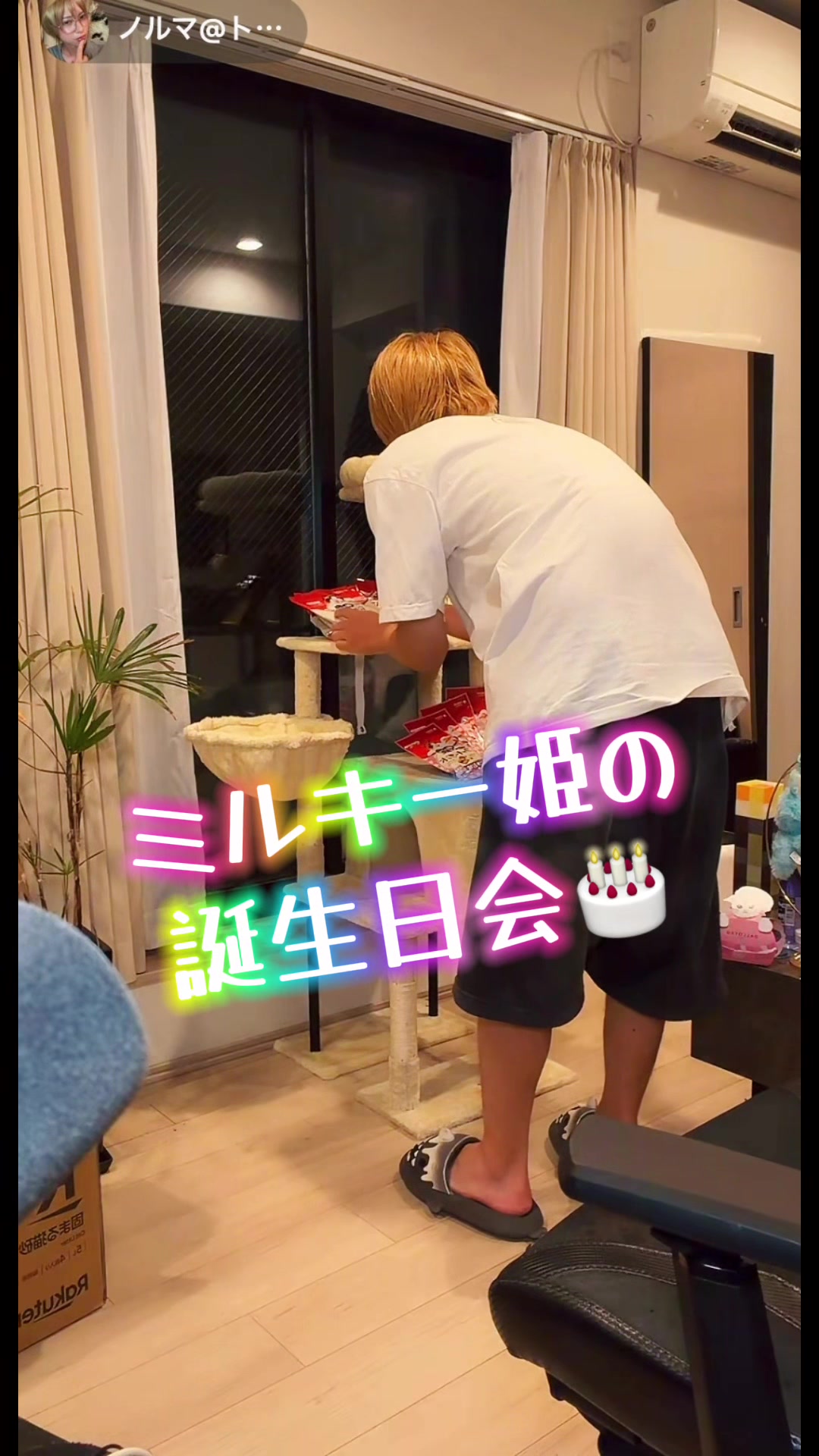 @kagi🗝️neco🐱②