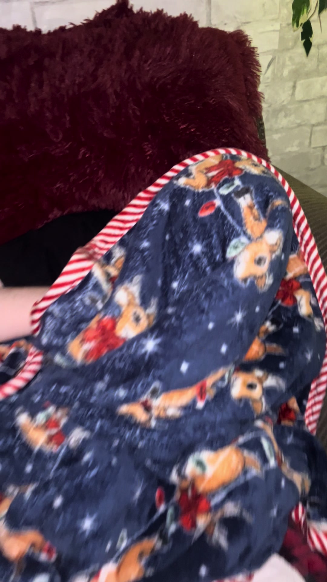 @jojo♥️autism💚garden💙dogmom