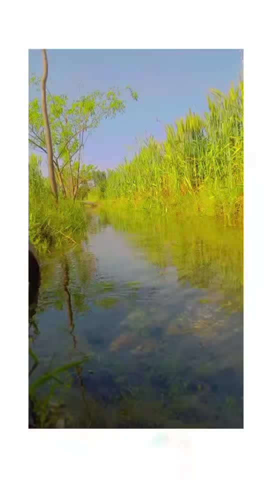@ذیشان تارڑ جٹ🔥