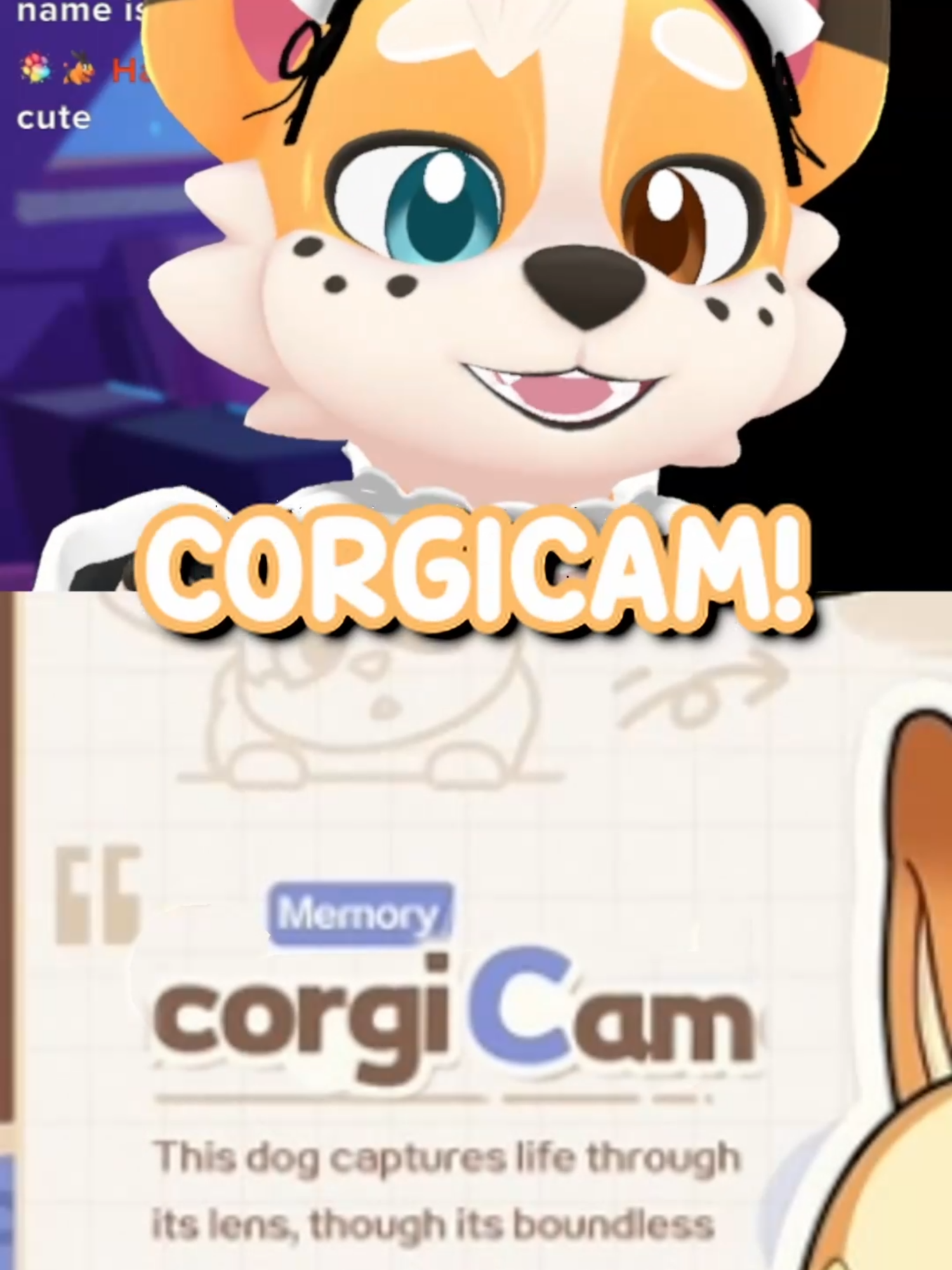 @Corgi
