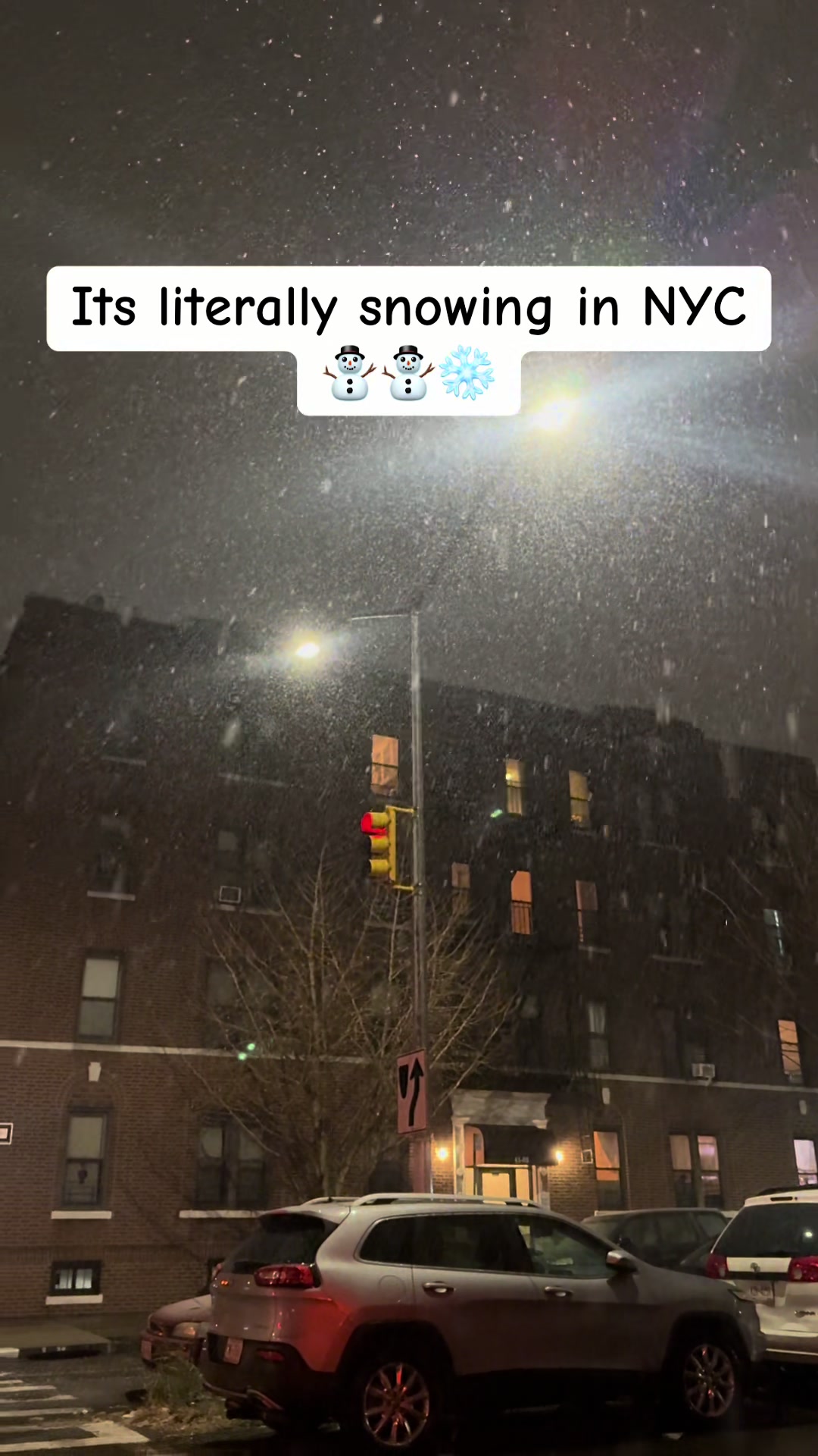 @GuyInNYC💥