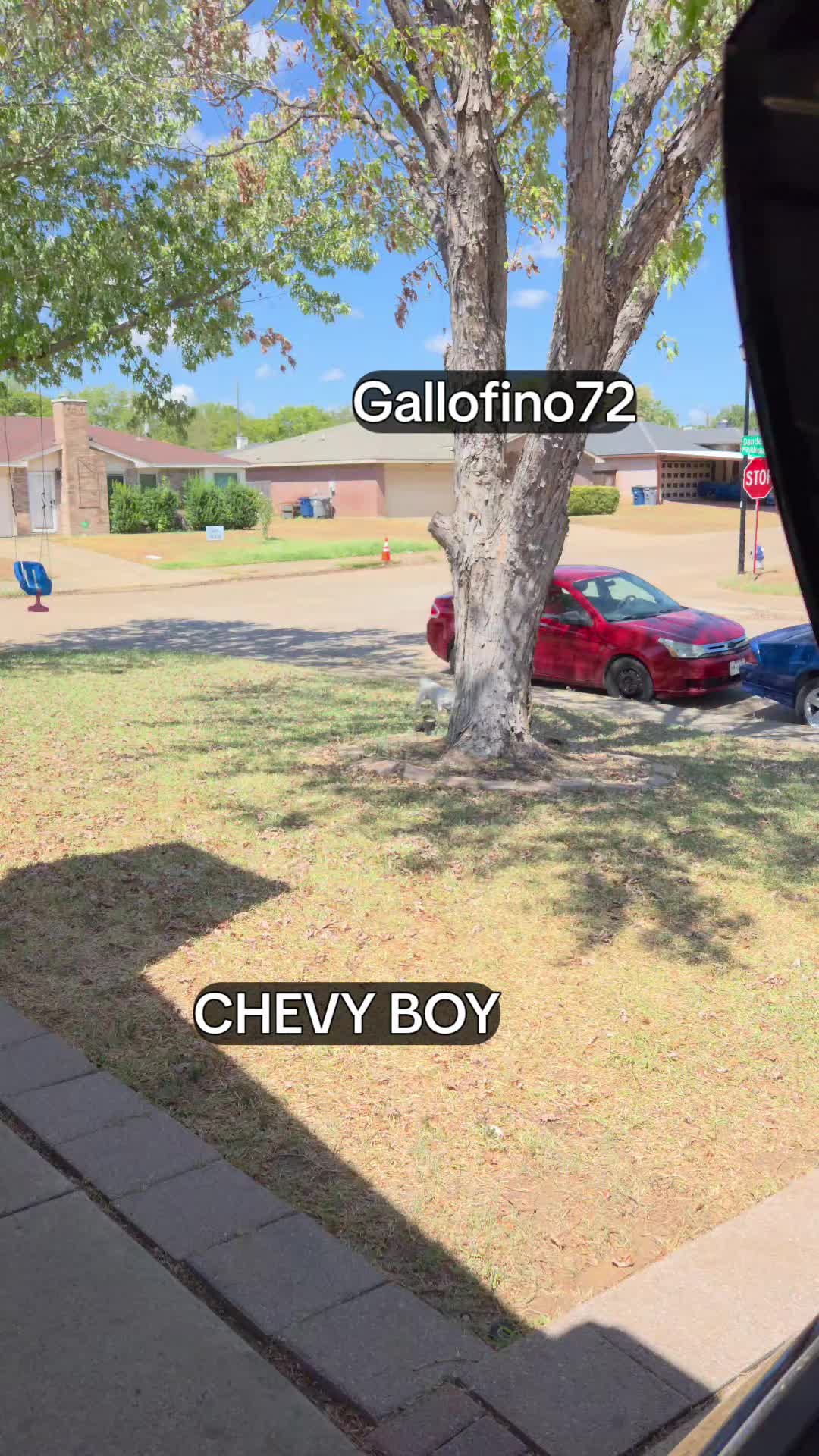 @ElGalloFino