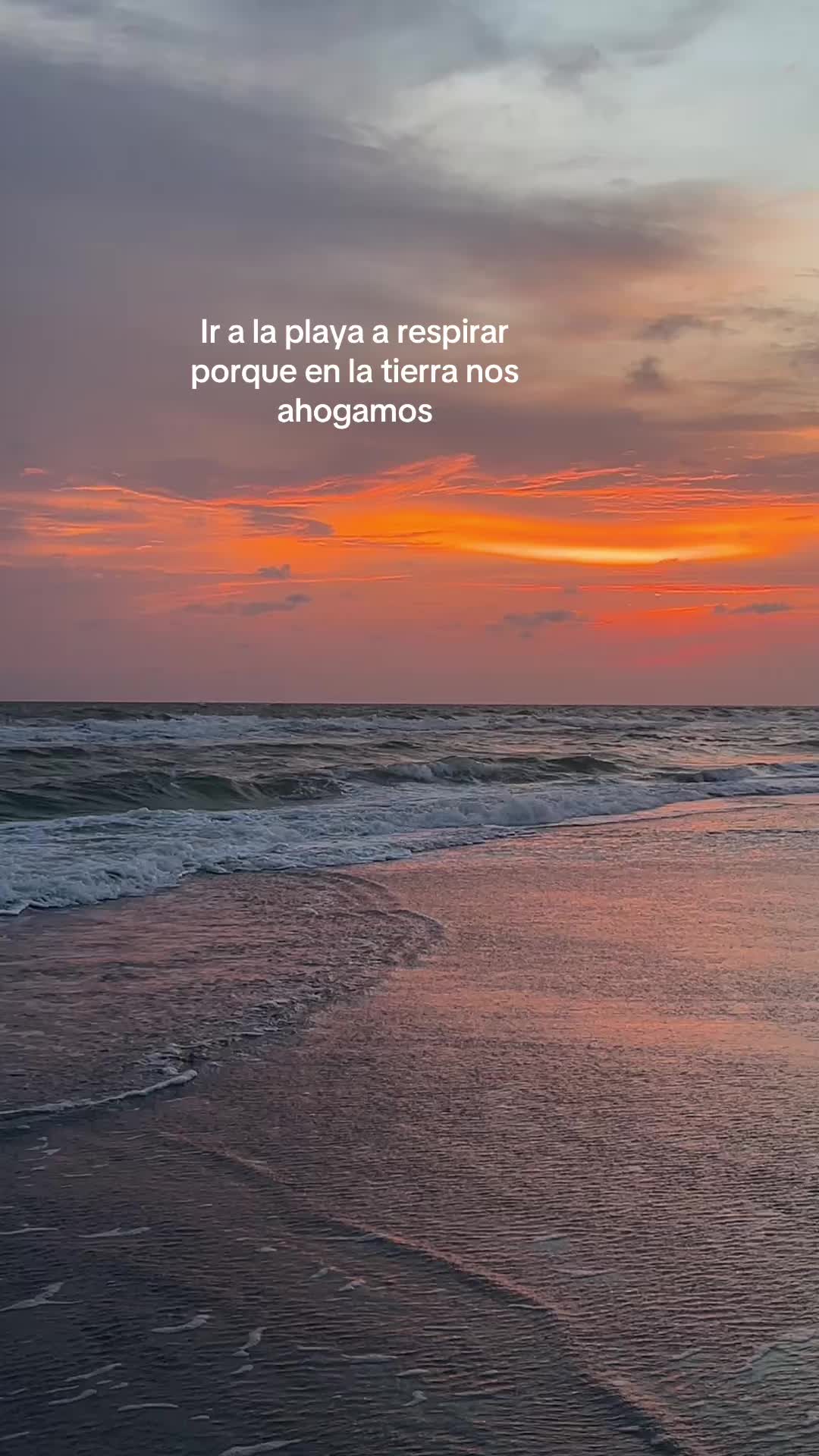 @Aquariustefa♒️