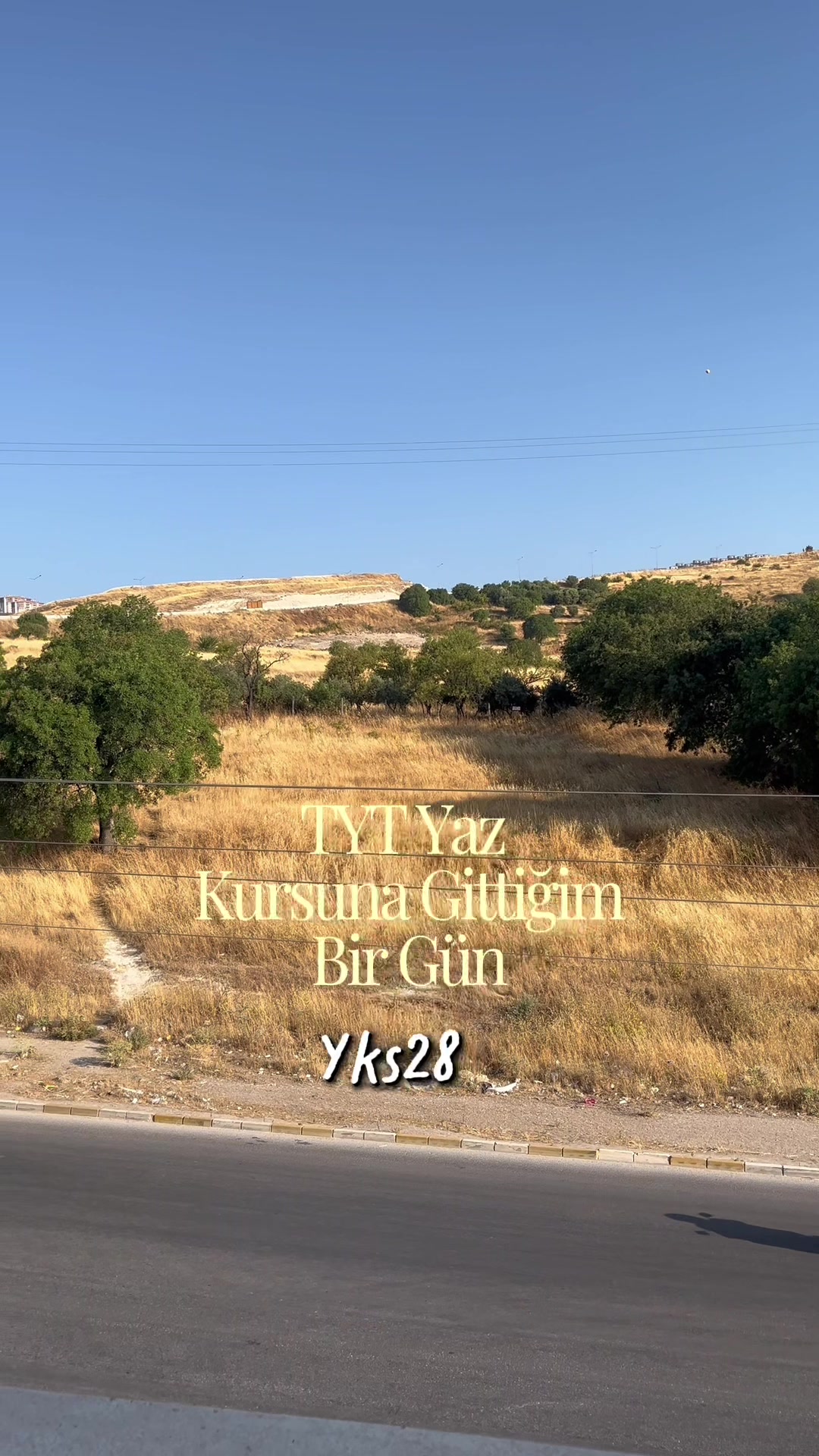@Mustafa