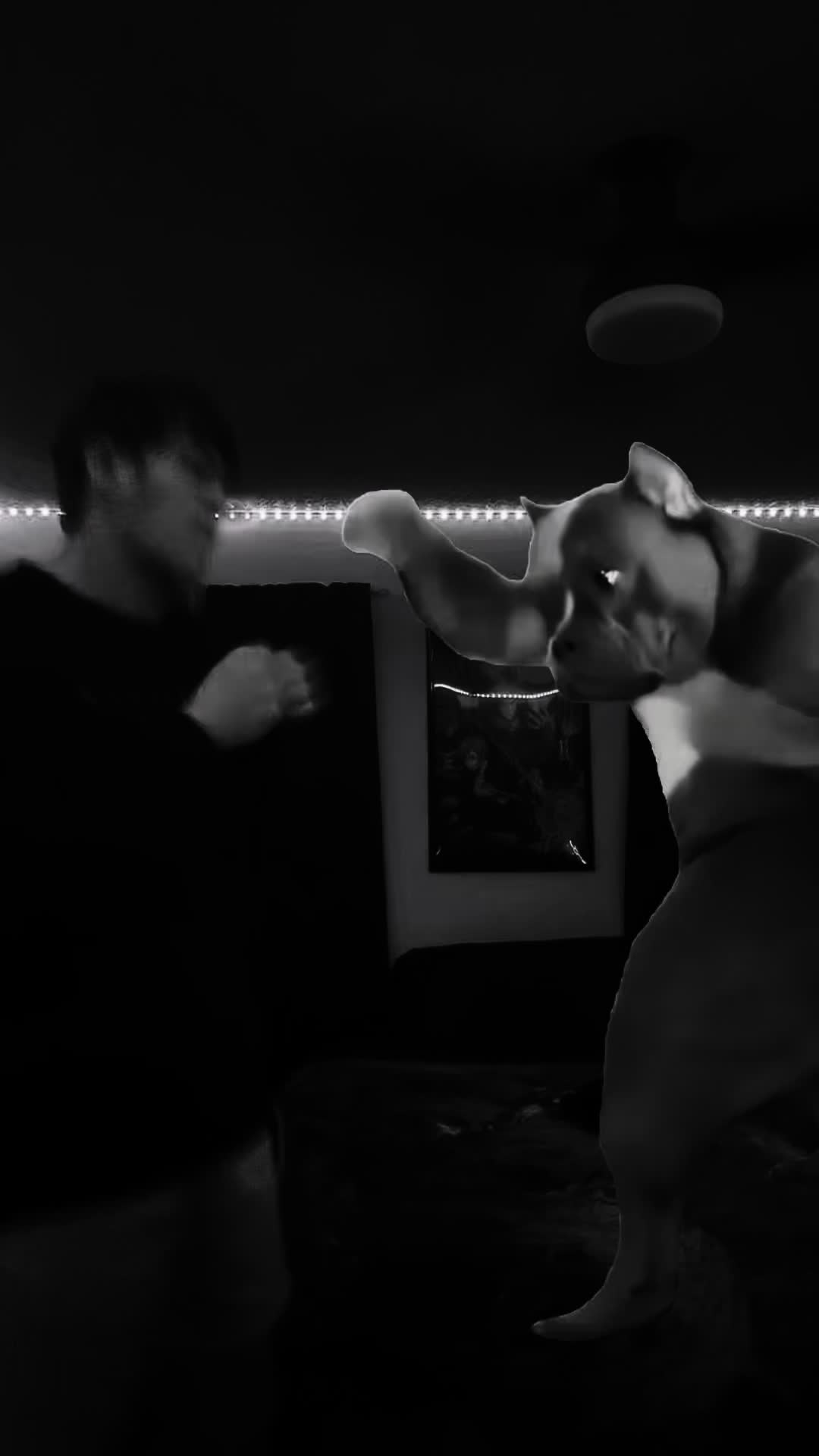 @brady メ𝟶