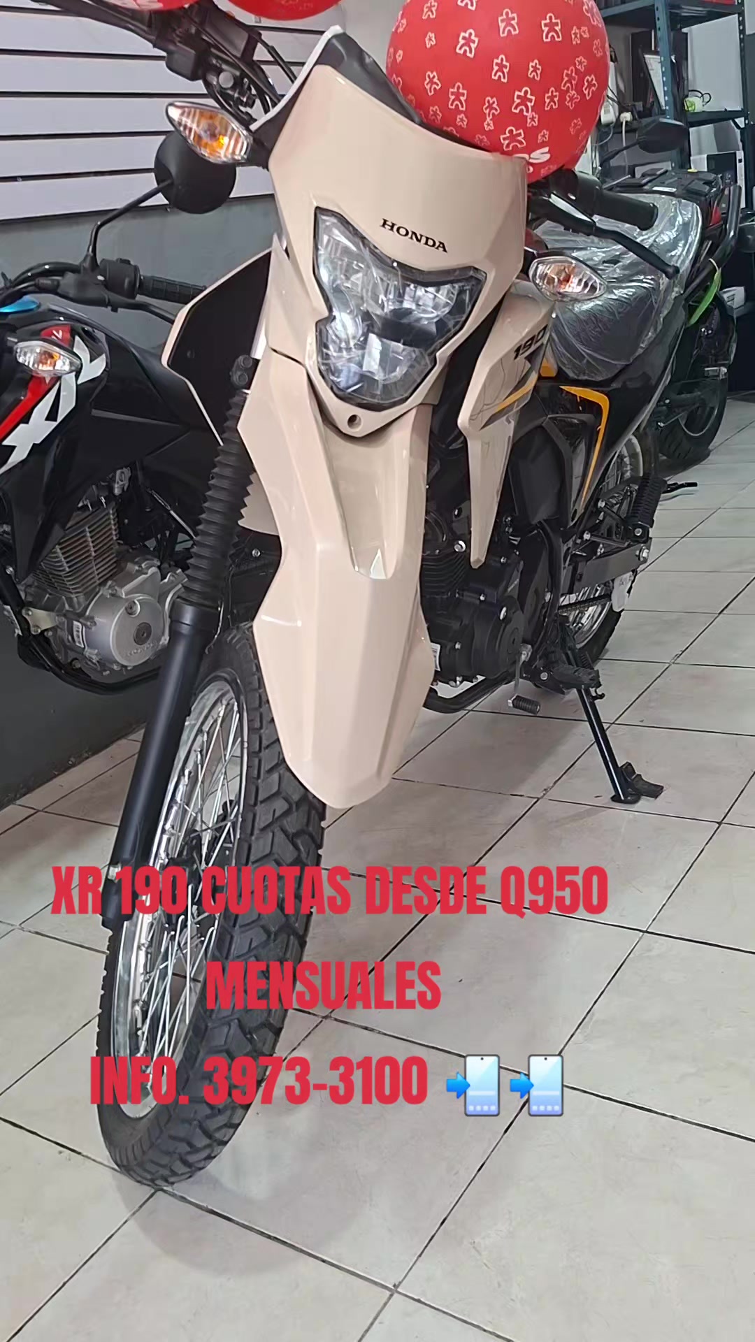 @Honda Carcha A.V.