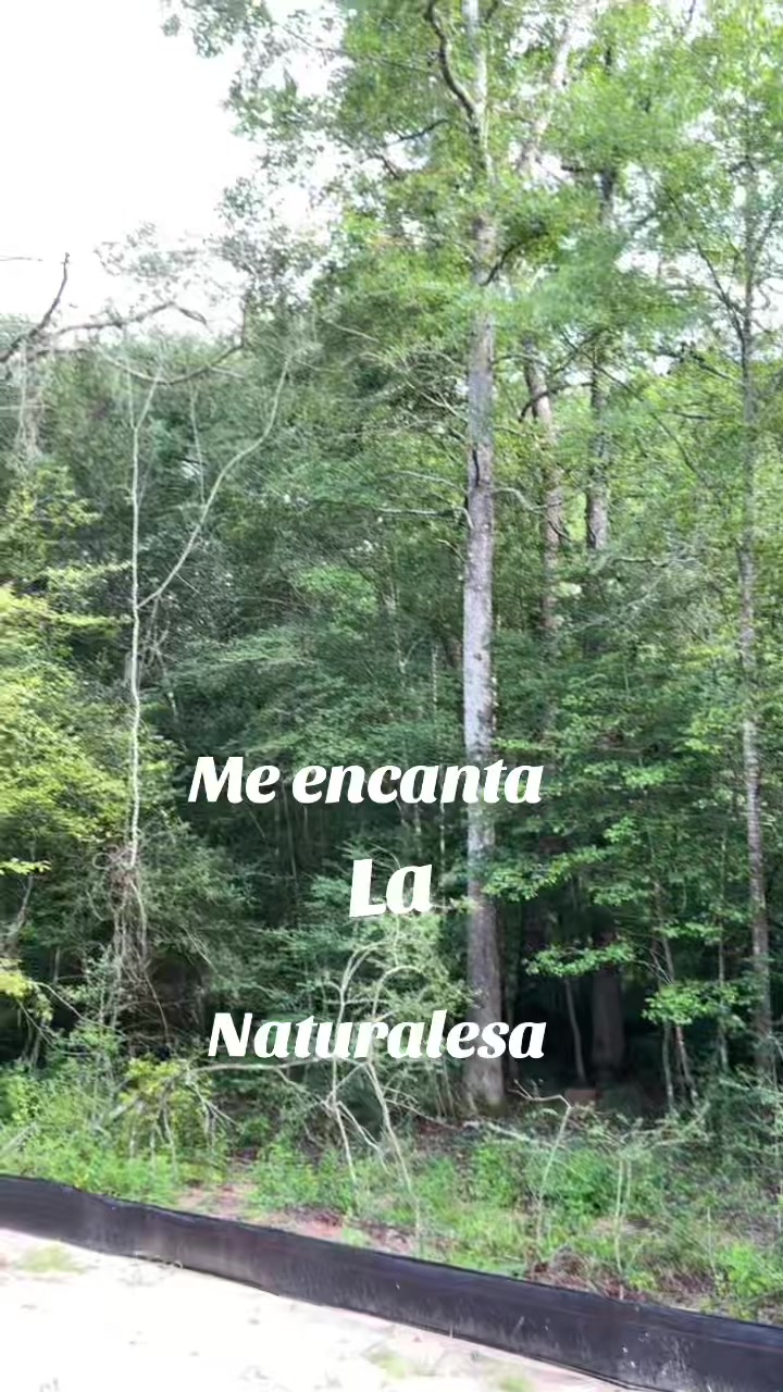@Azucena Castillo
