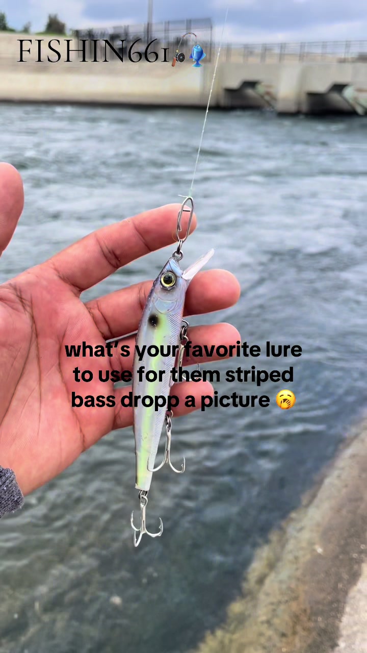 @kernfishing661_
