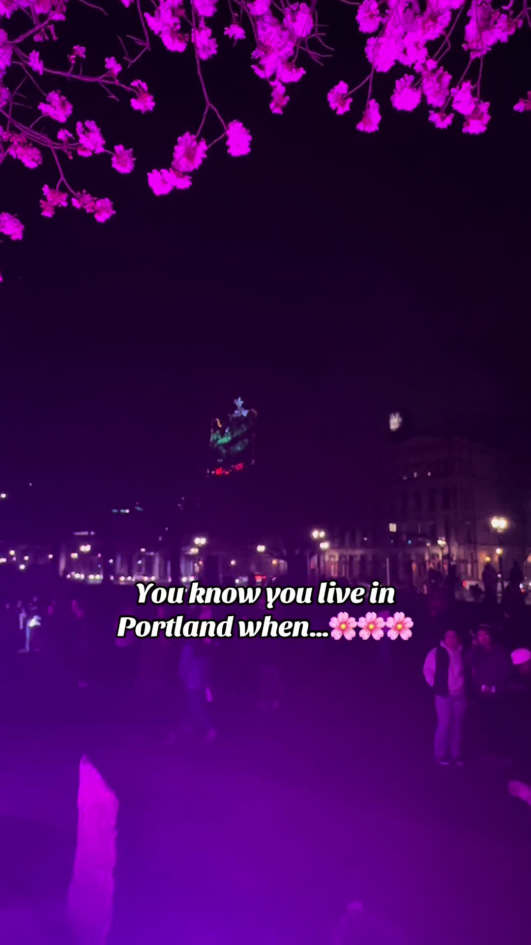 @Arifrye