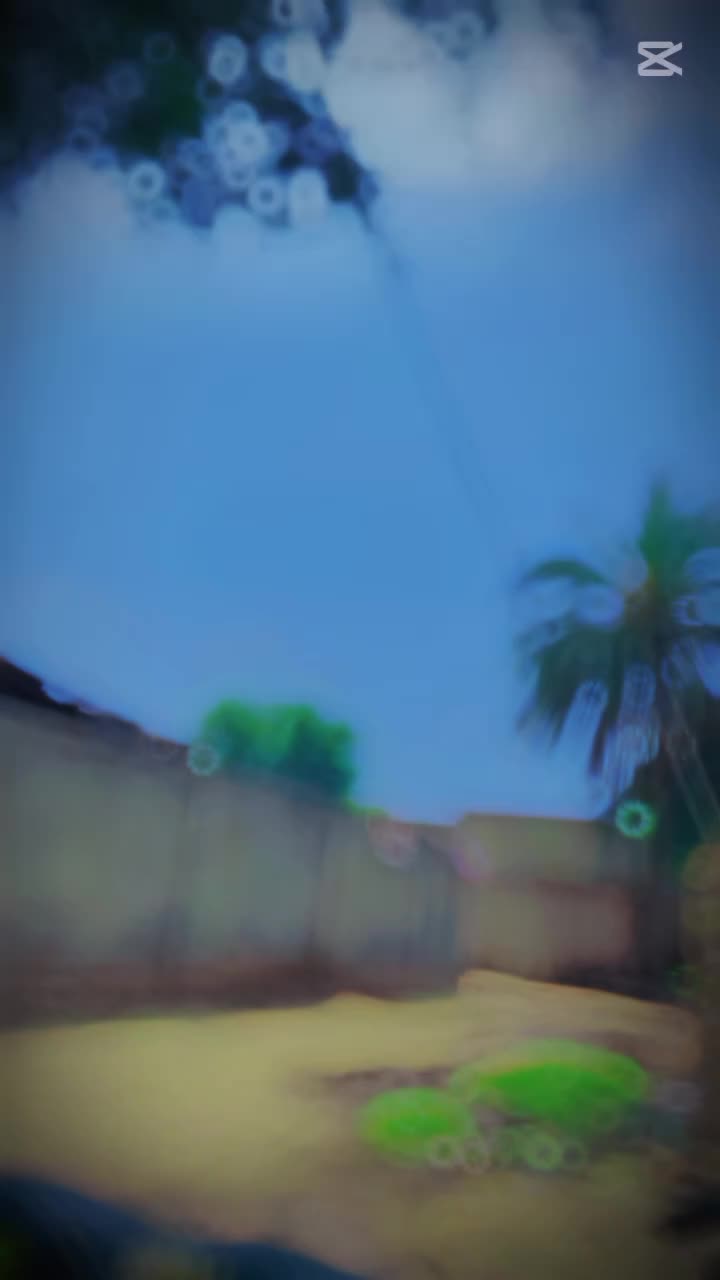 @falakshar