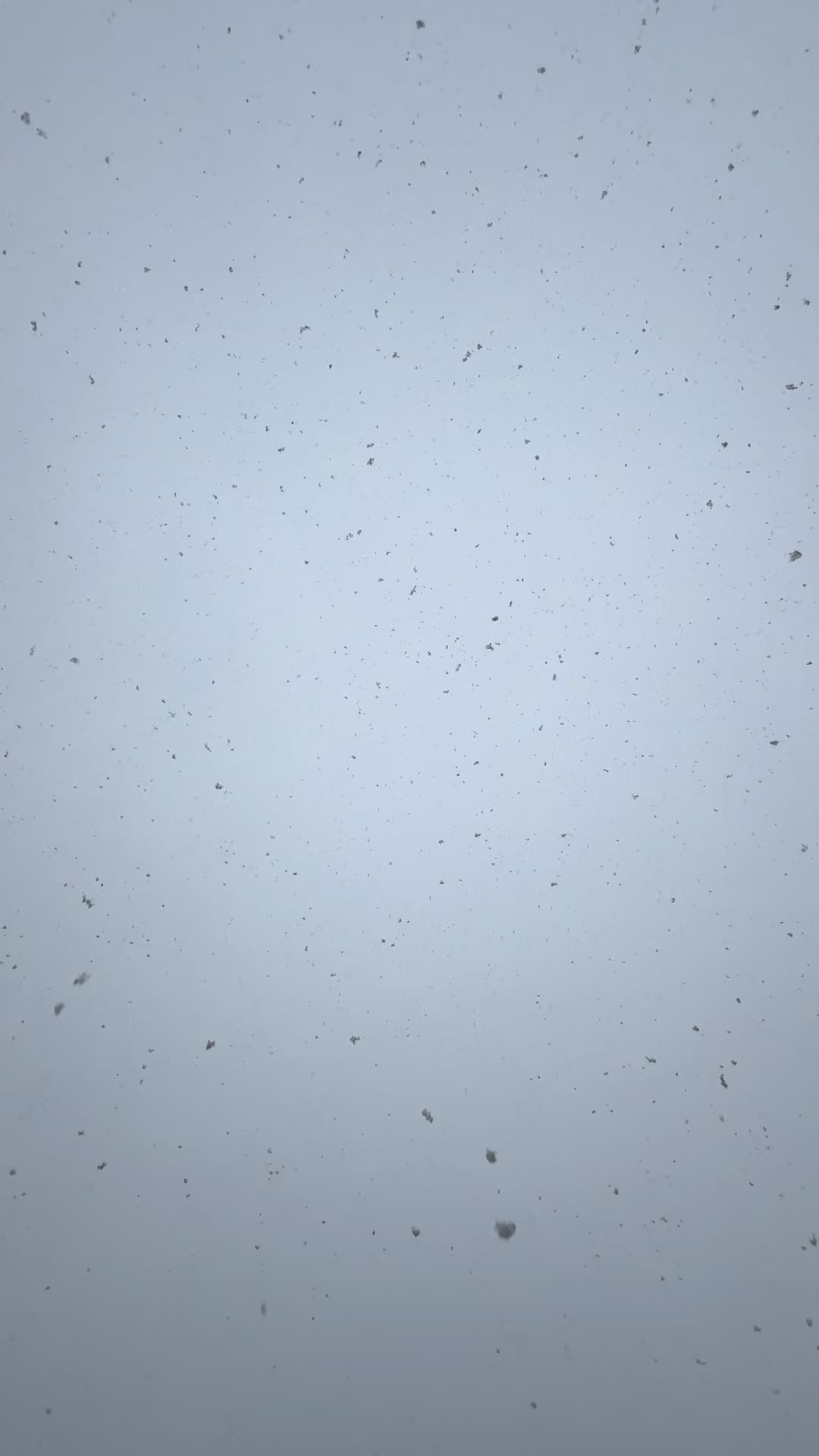 @FD 999 🇩🇪