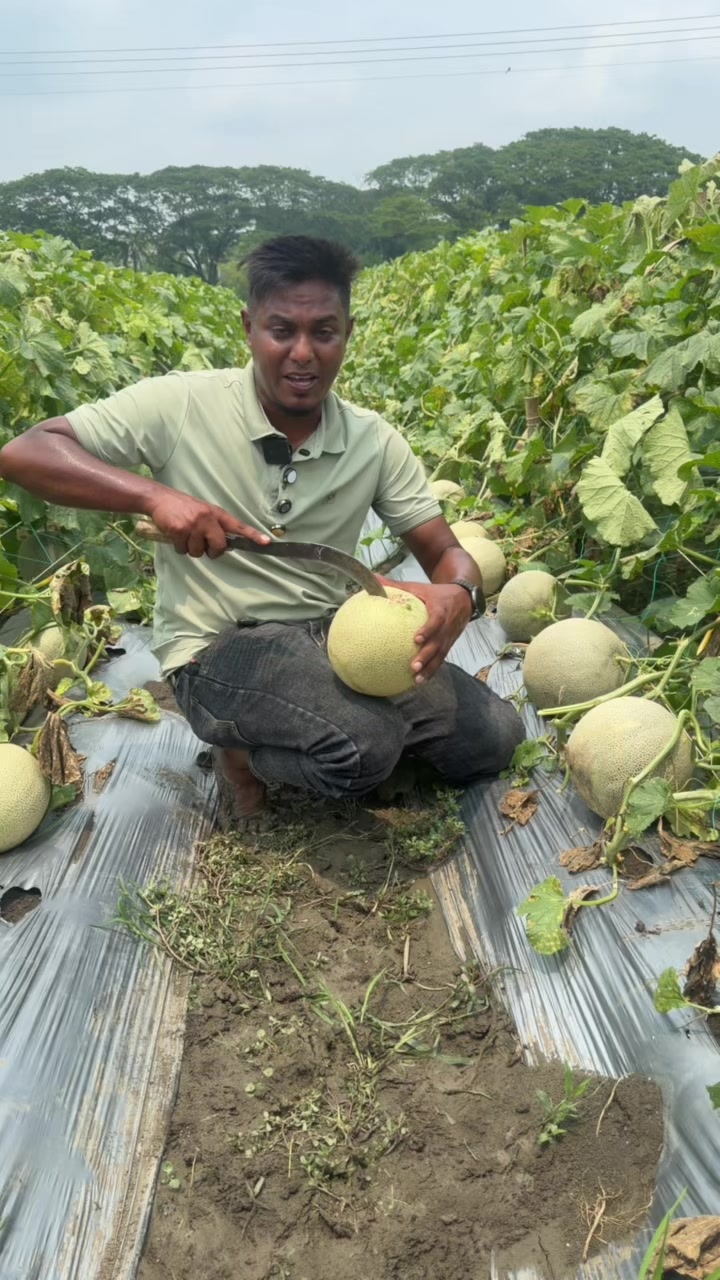 @কৃষি আপডেট