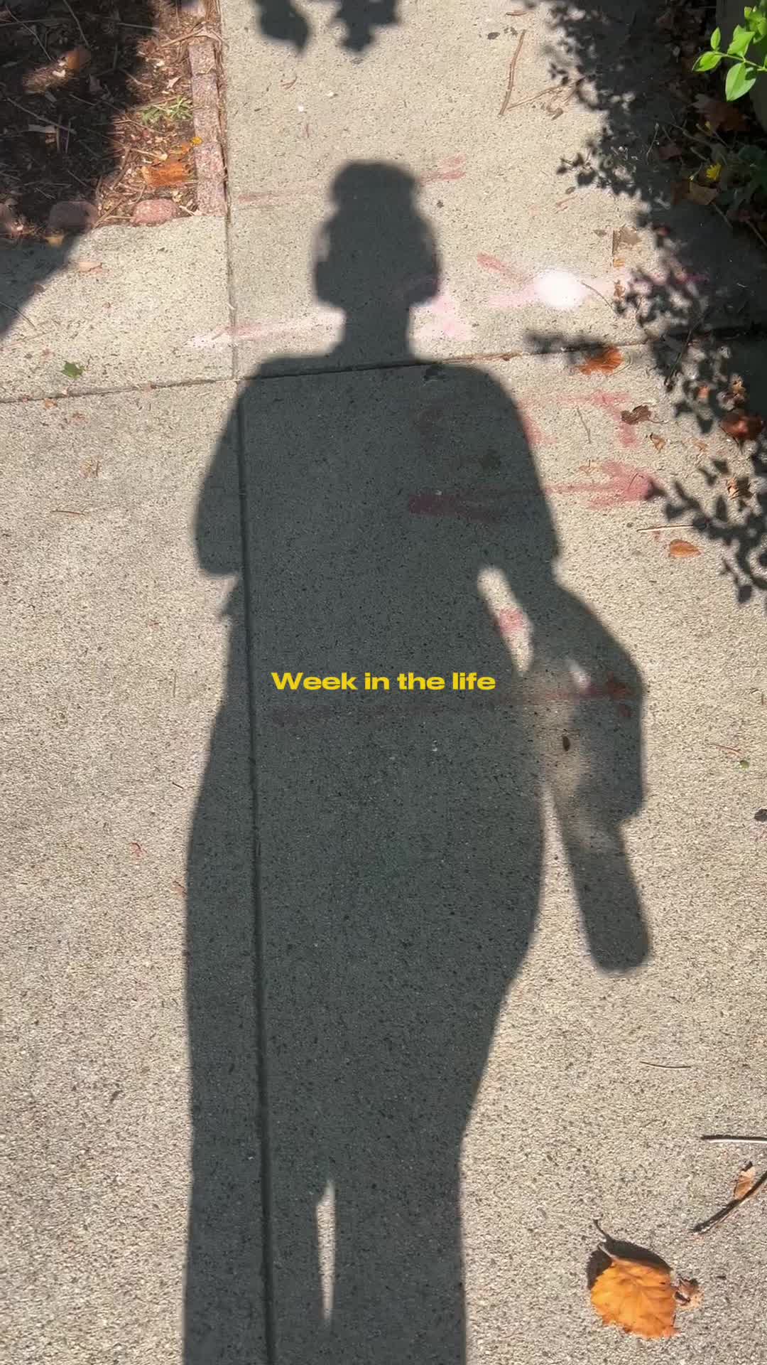 @JayToThe