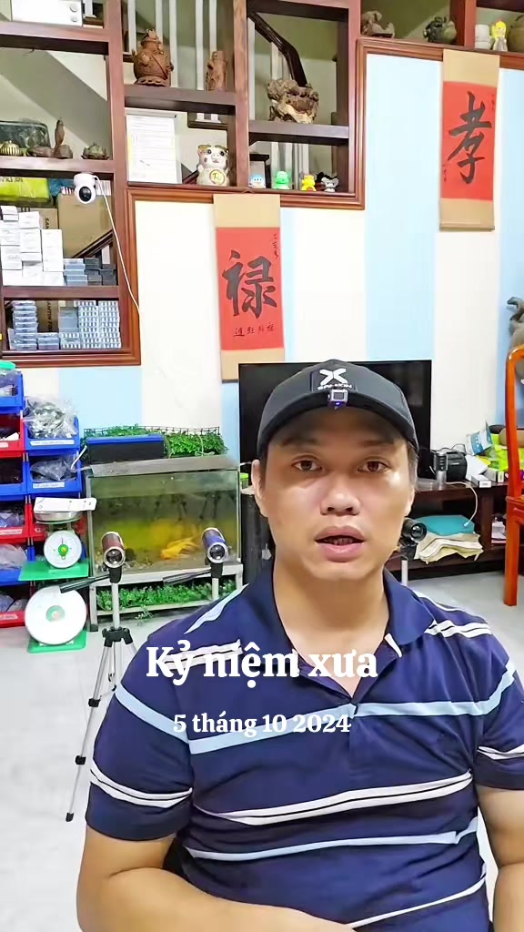 @Docau Hienminh