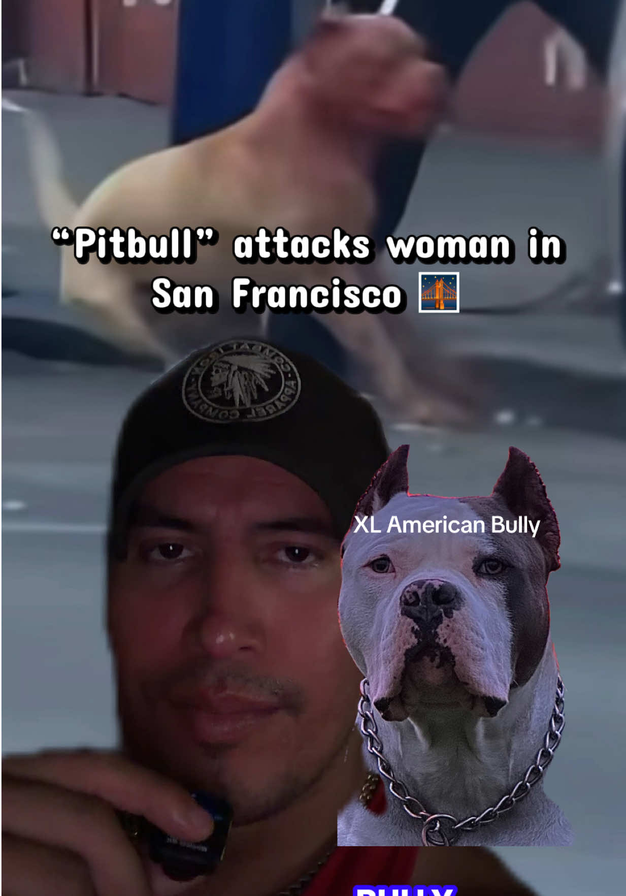 @🪶TheN8tiveDogfather🐾