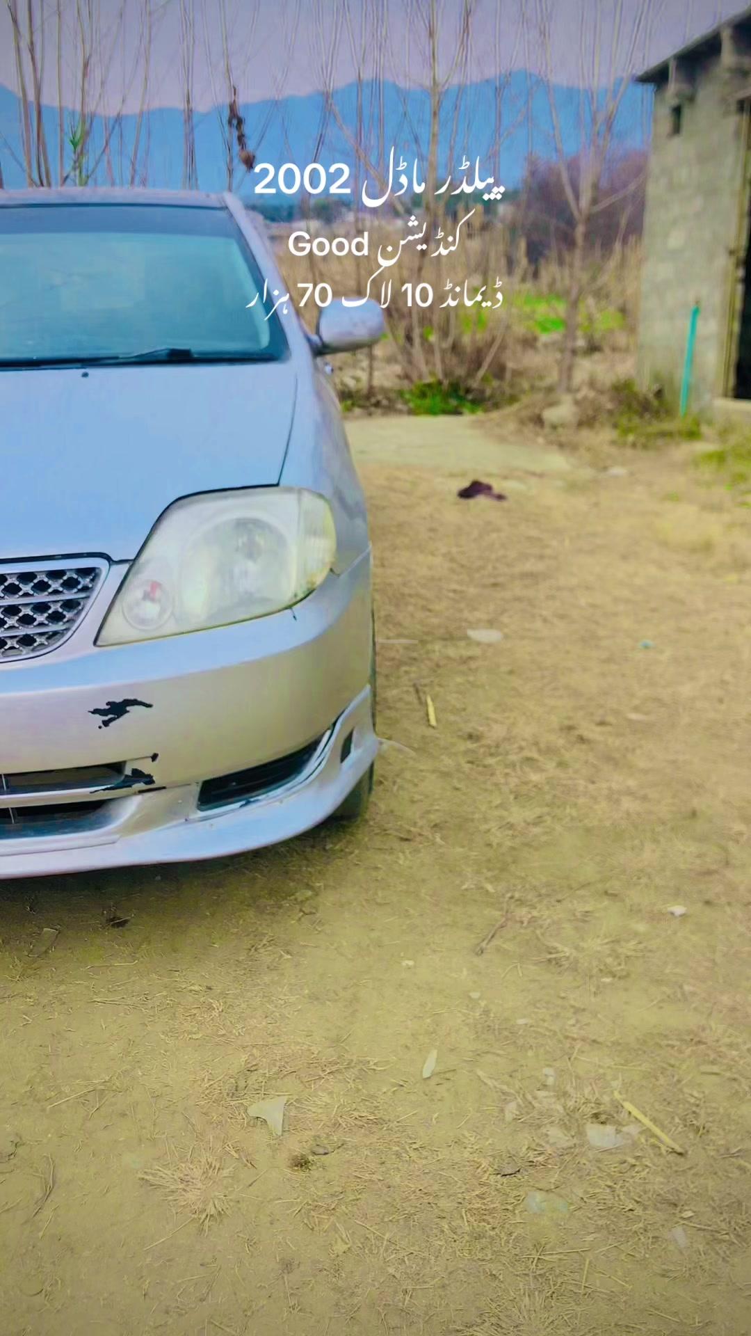 @ncpcarlover1