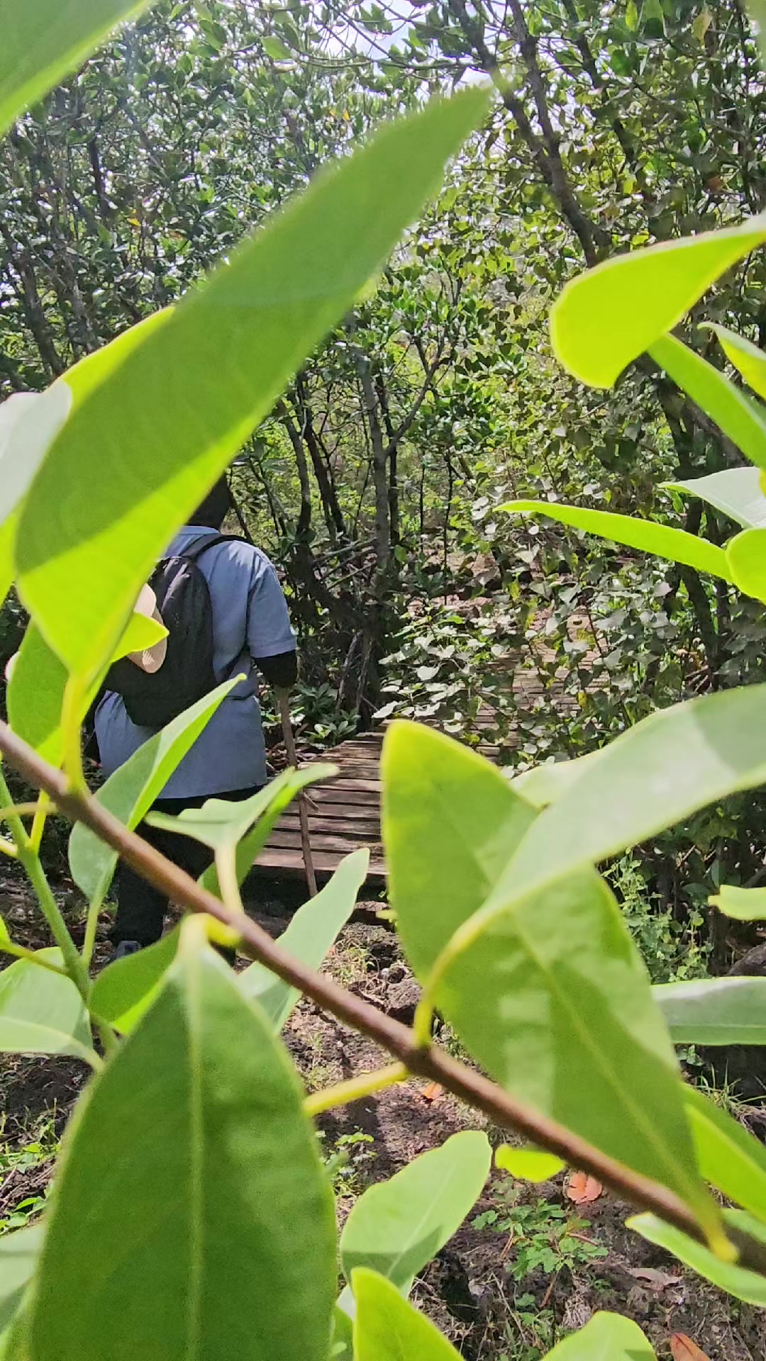 @Yassir Greenhike 🇲🇺