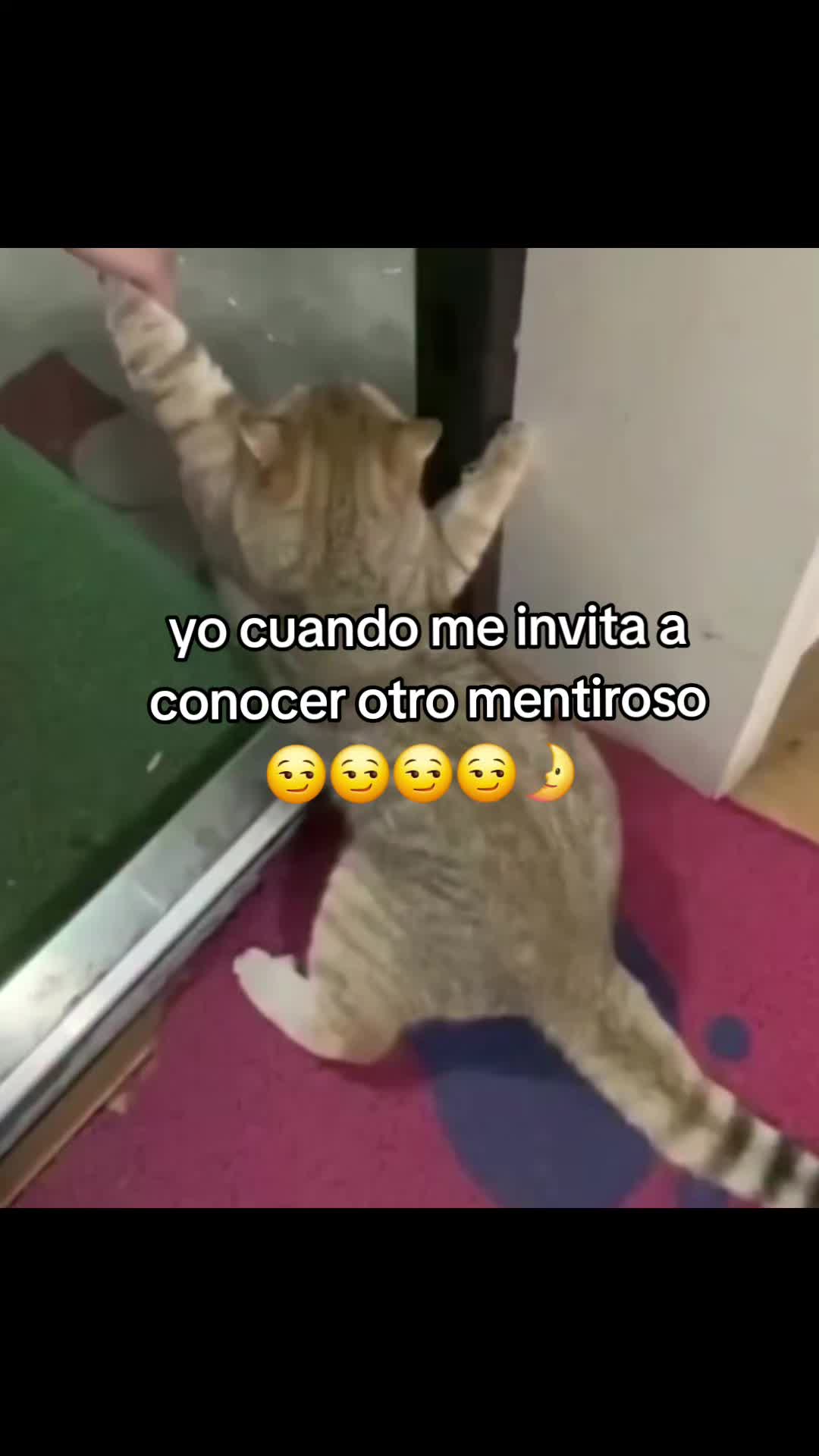 @𝕝𝕦𝕟𝕒🐦🔥🌘