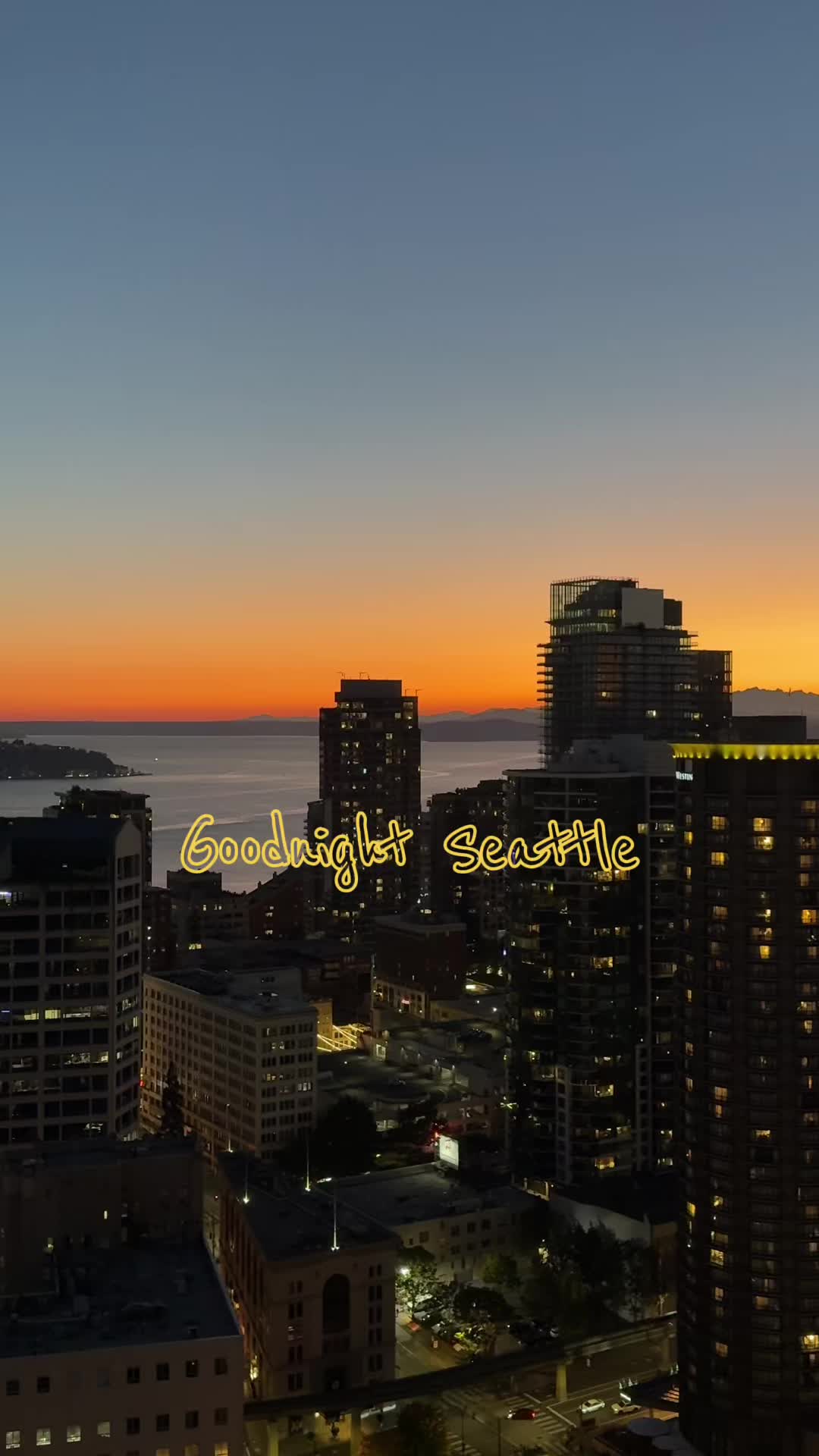 @bee ๐ | seattle creator