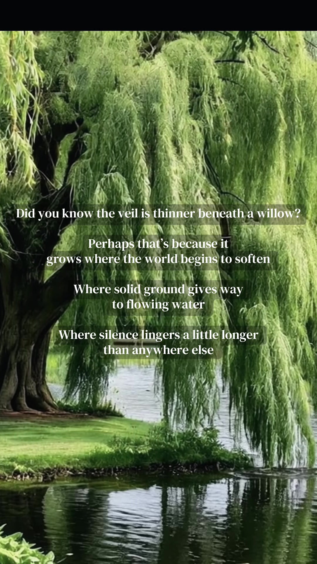@Jasmin | A Rooted Life