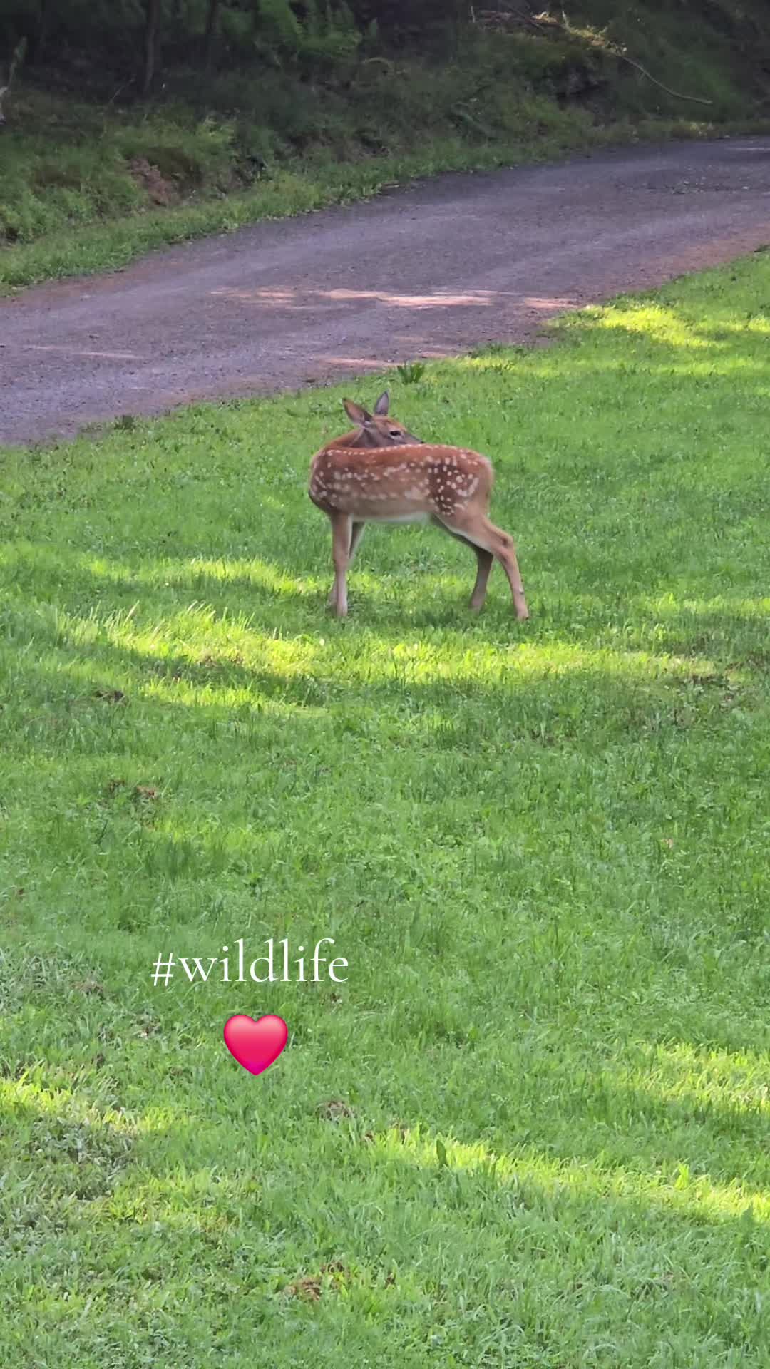 @RosiePosie, WreathsbyRosie❌️