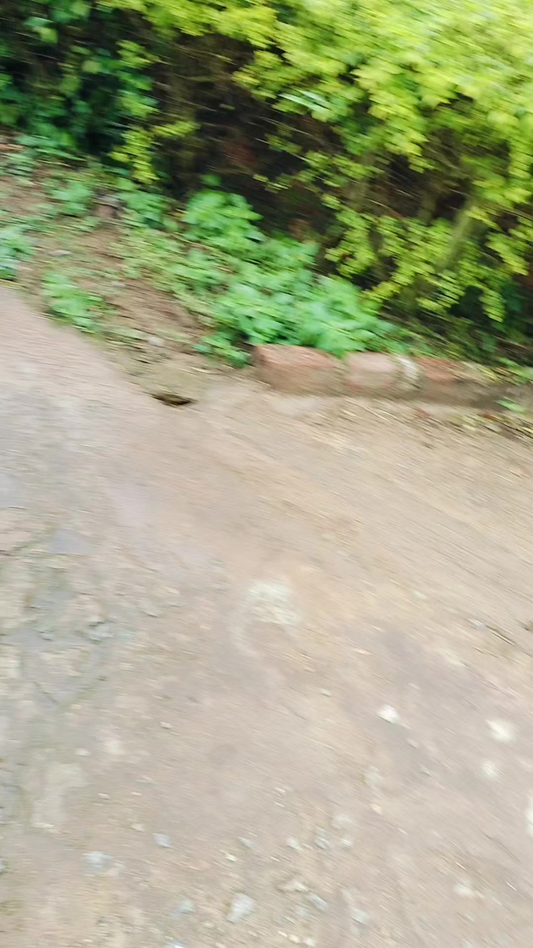 @Dược sĩ Xu&acirc;n