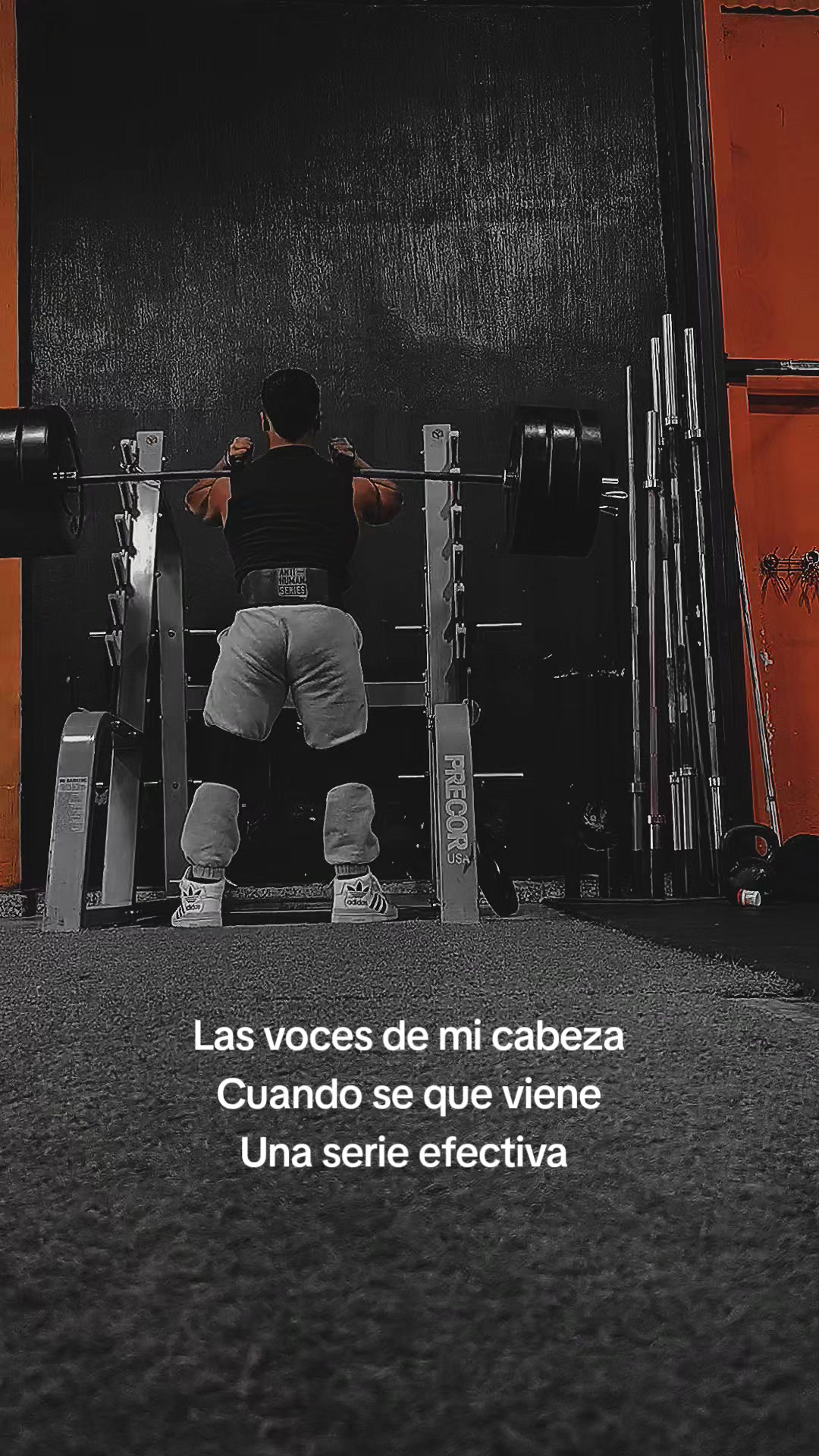 @pollocoach2002