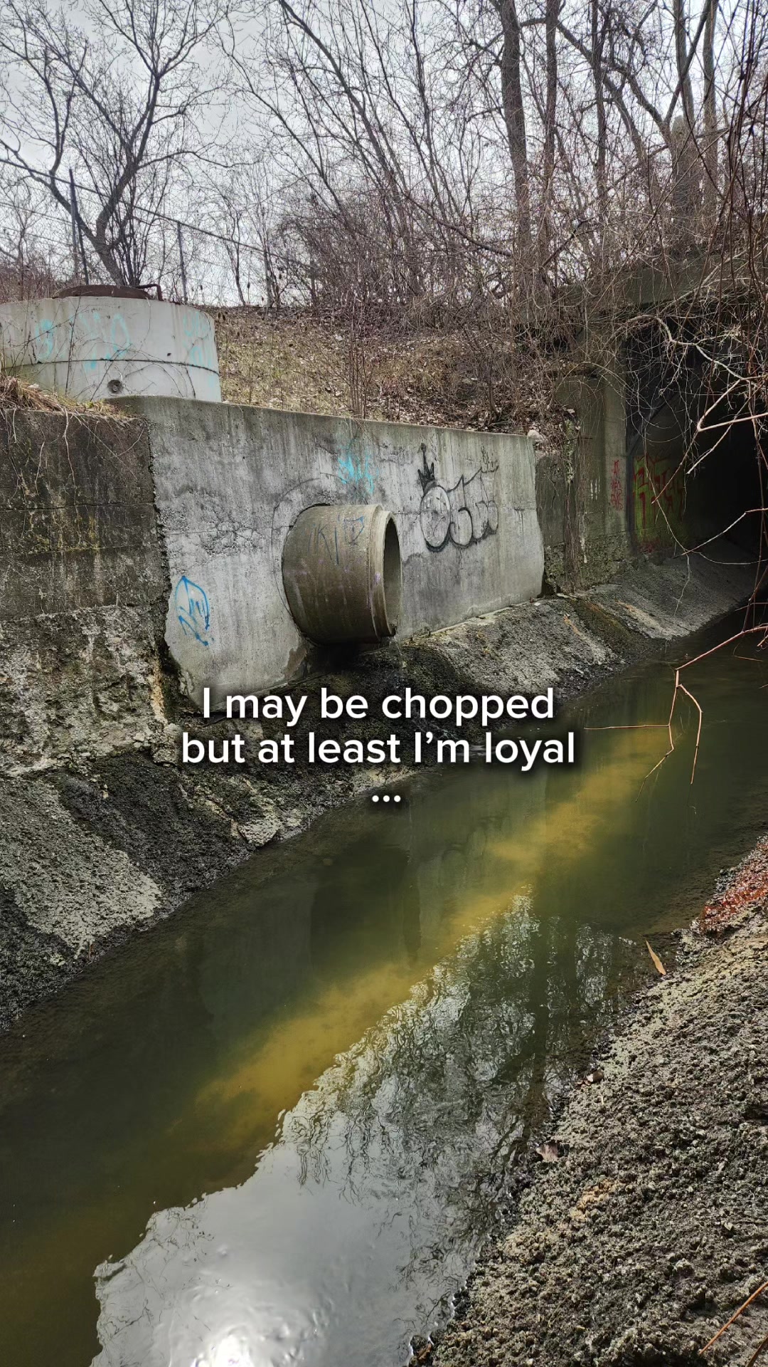 @TRXPZJMIZ101