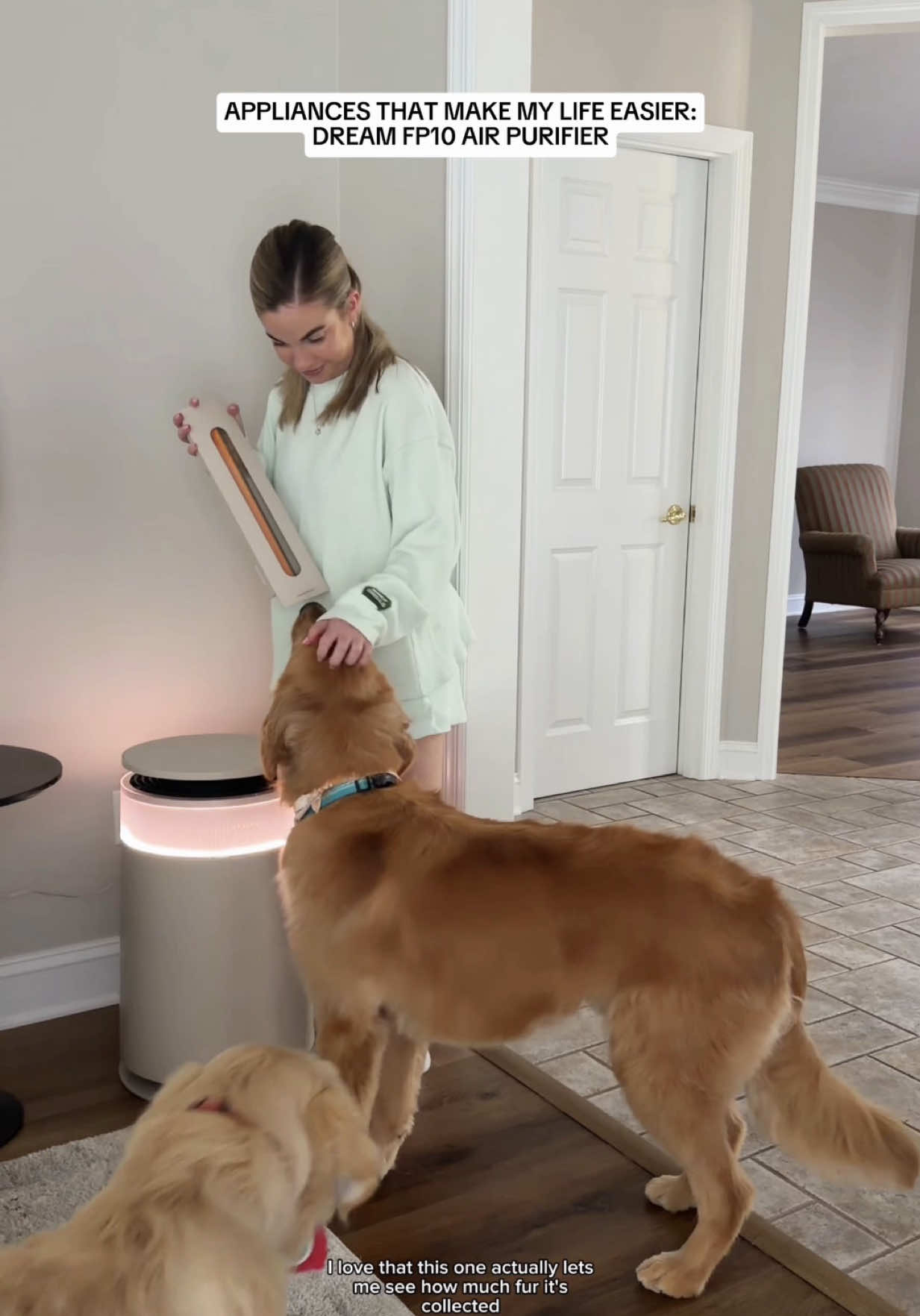 @agoldendogmom