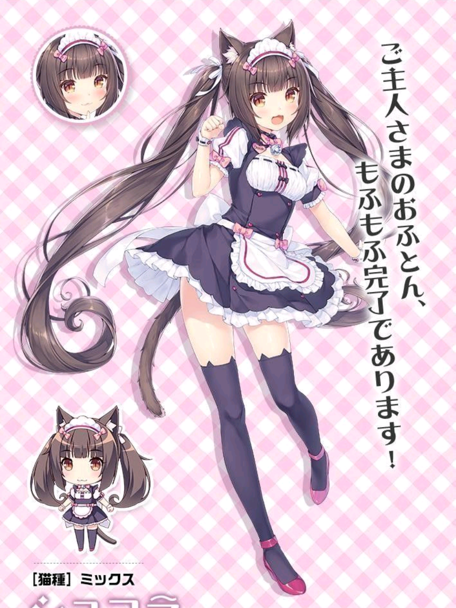 @🍀 Lori / Nyan