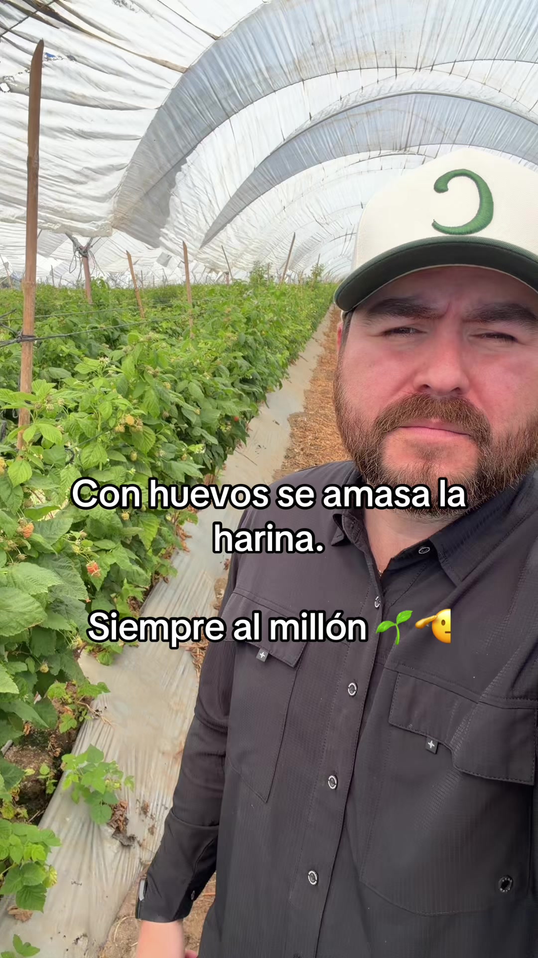 @Tips y Temas Agronomicos