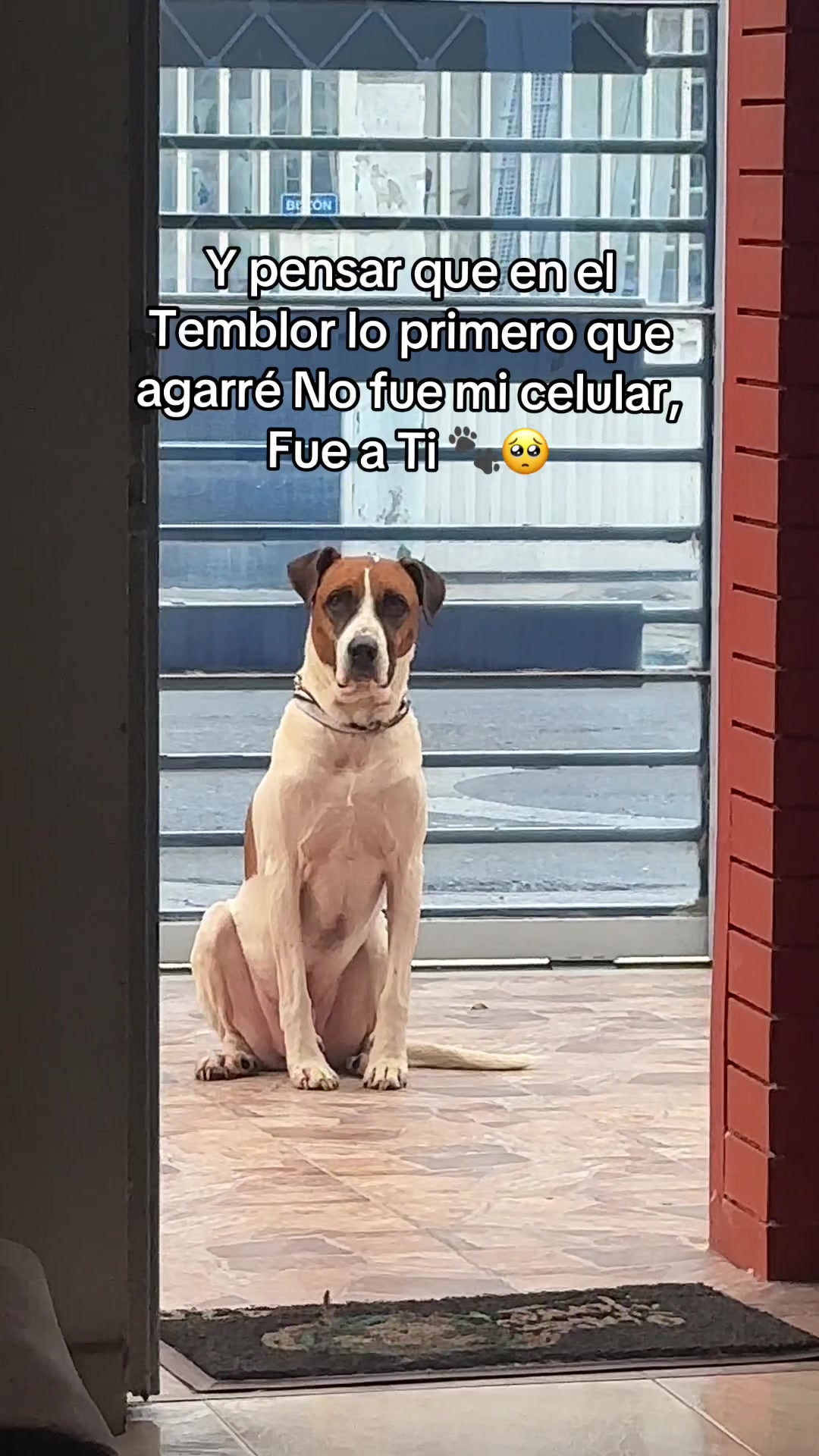 @M Yulieth Tovar🩵