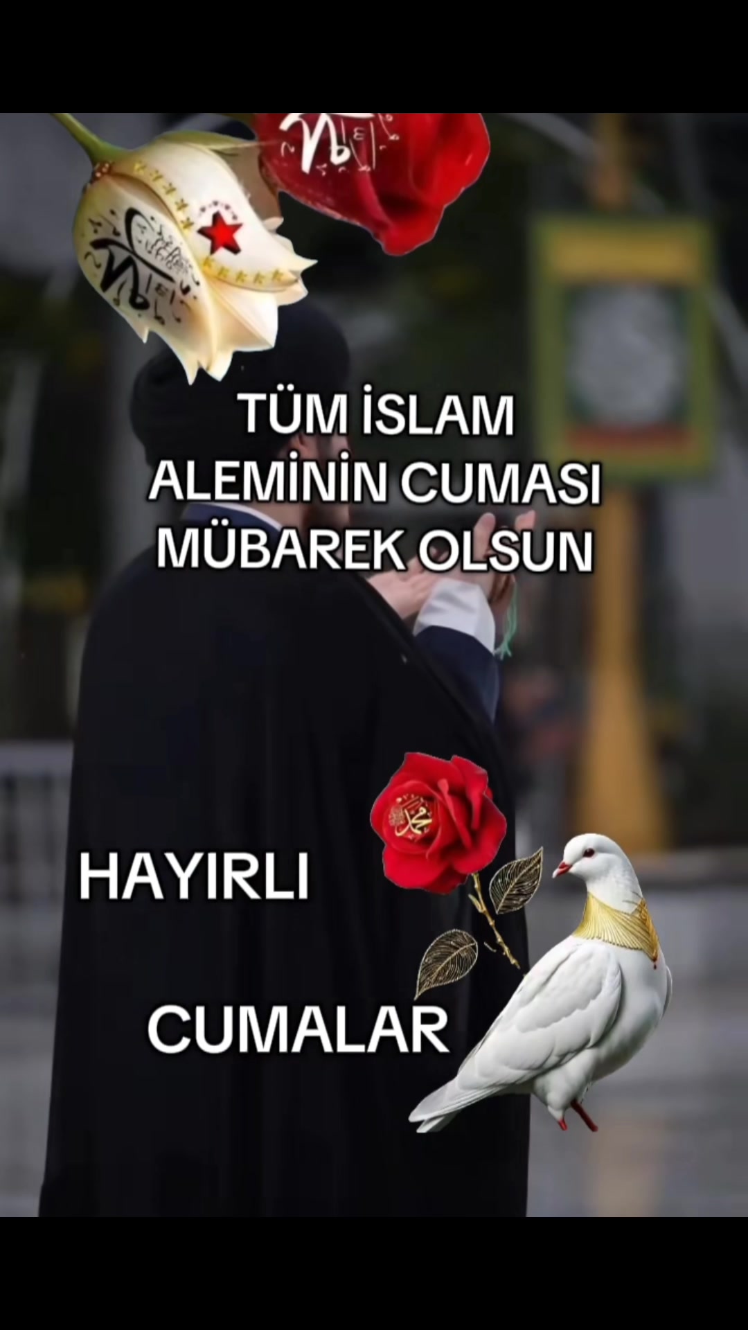 @Gurbet