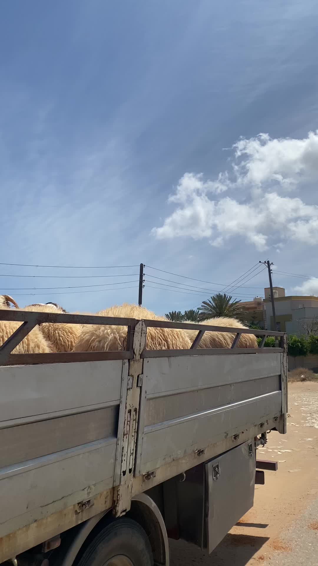 @البوعيشي