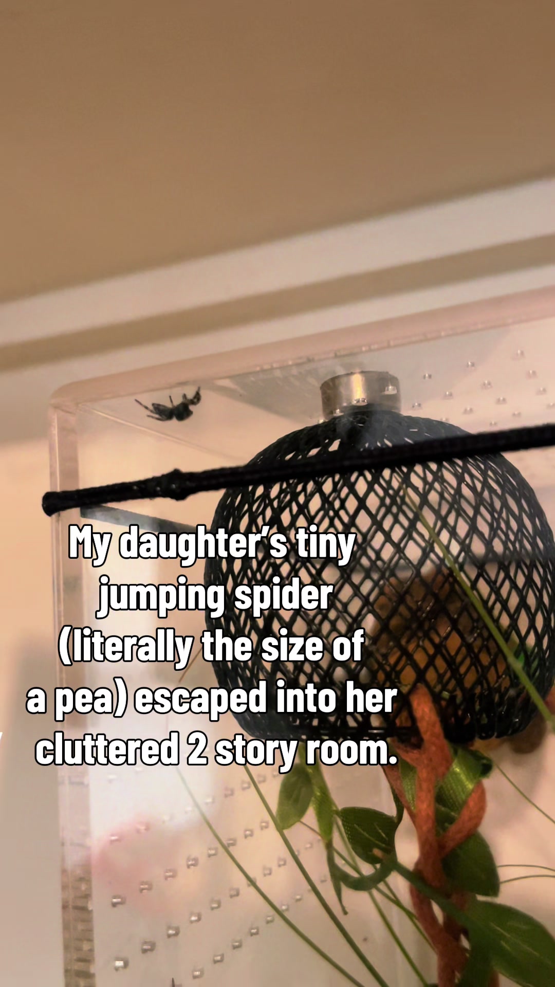 @Witchnextdoor