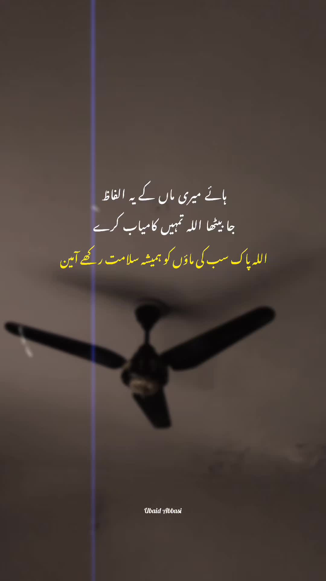 @Ubaid Abbasi ⚜️
