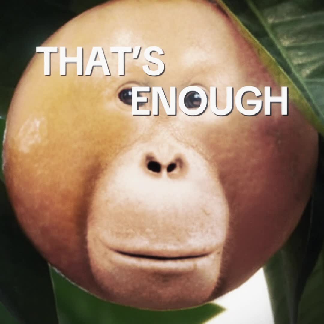 @Brant愛🥹