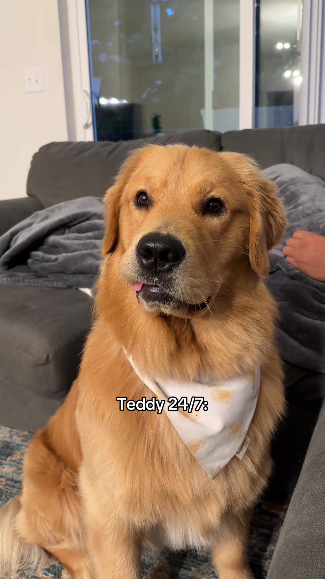 @Teddy🧸