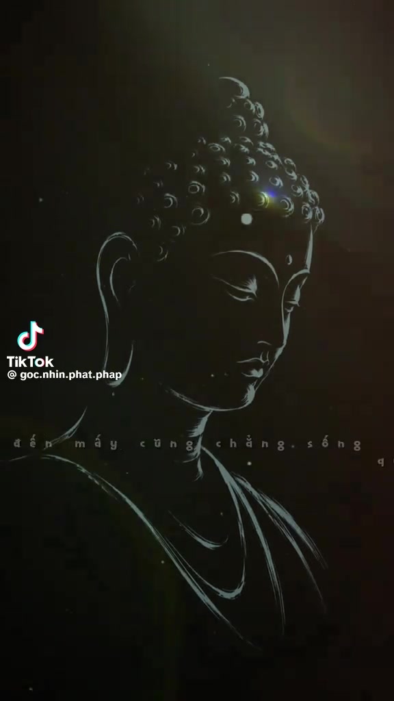 @LANTRUONG