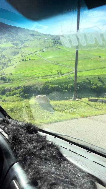 @talış