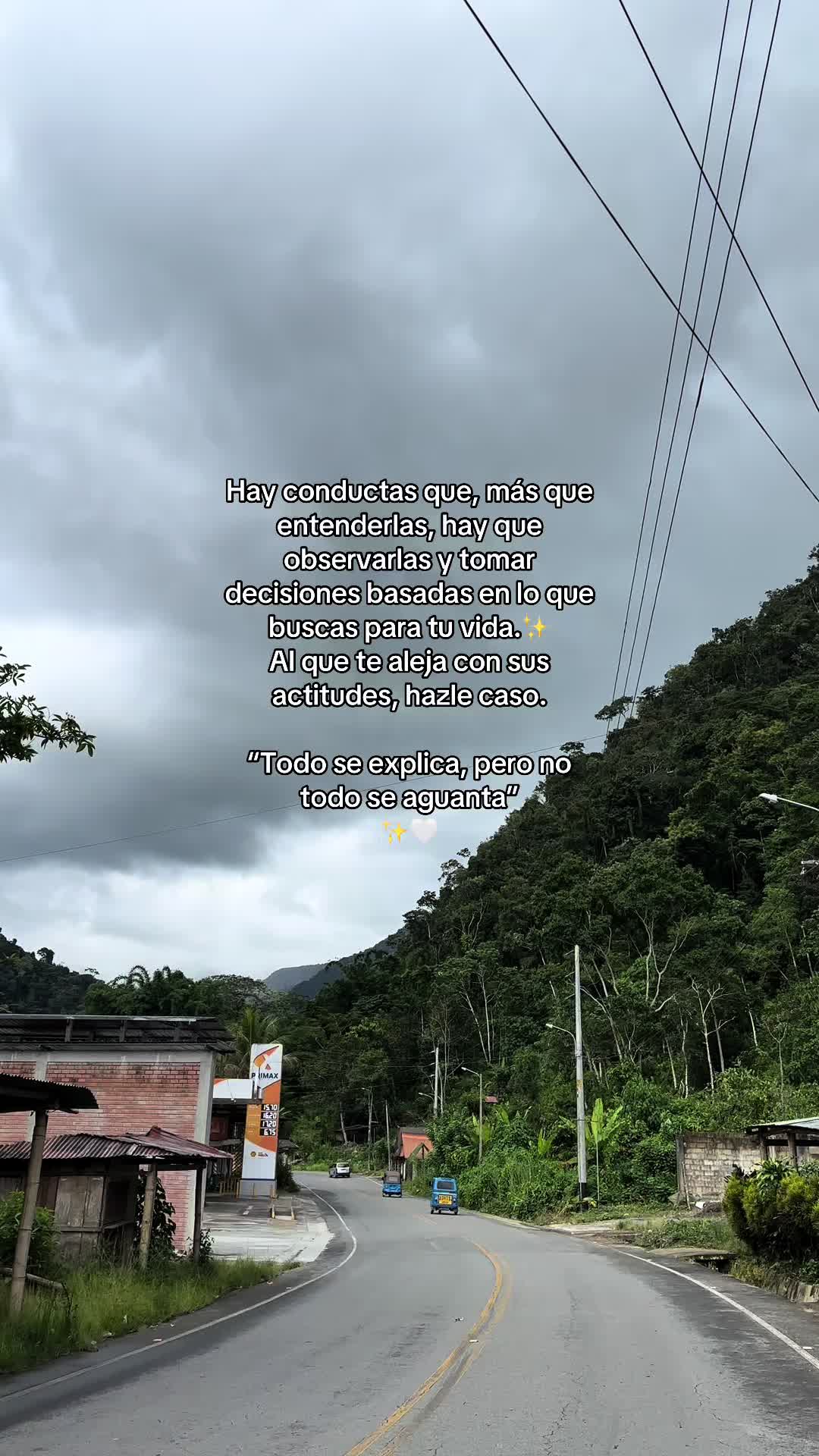 @Leichyy🪸