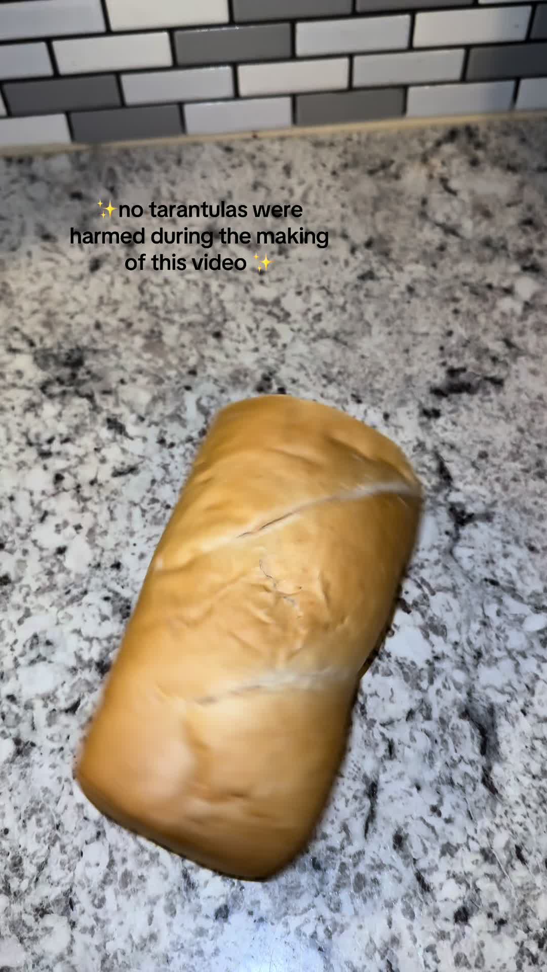 @balleronibolonga