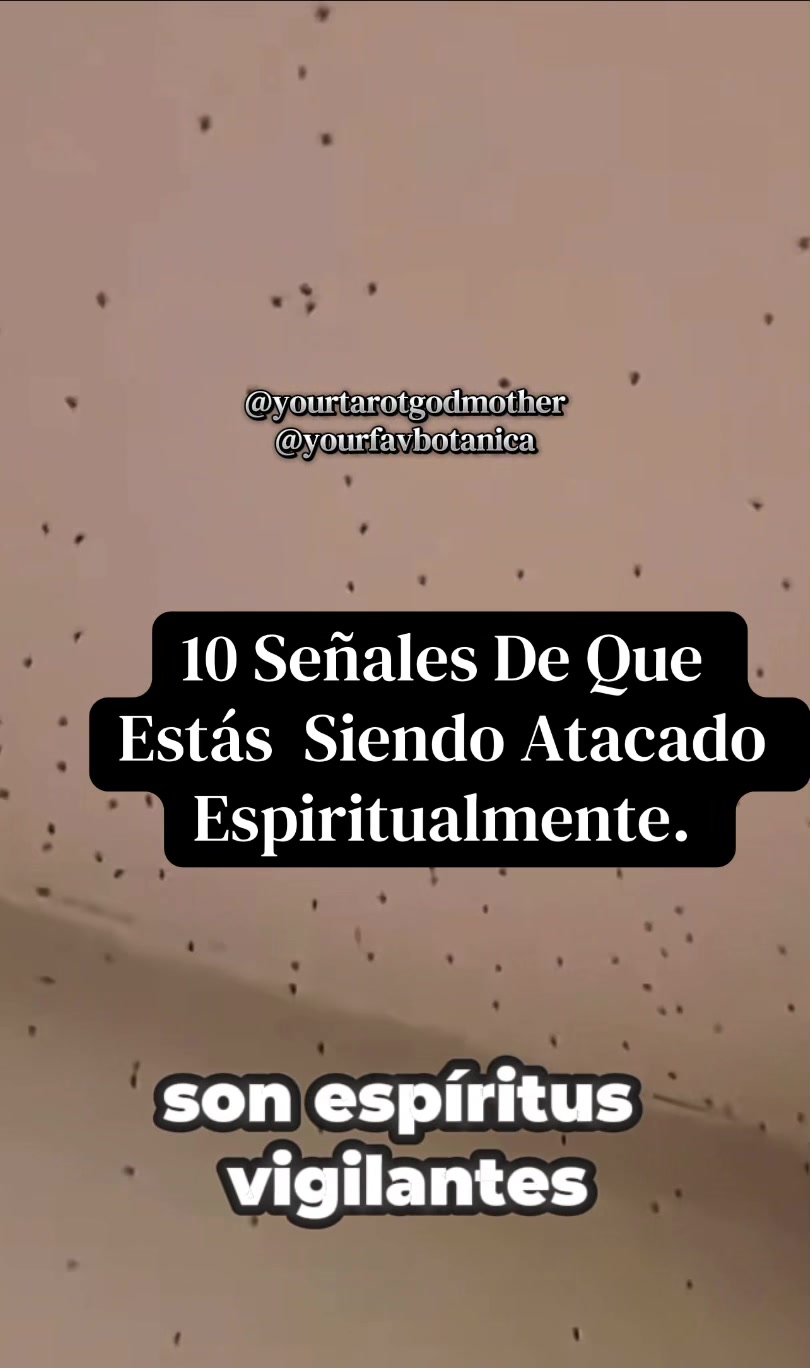 @LILY SANTANA