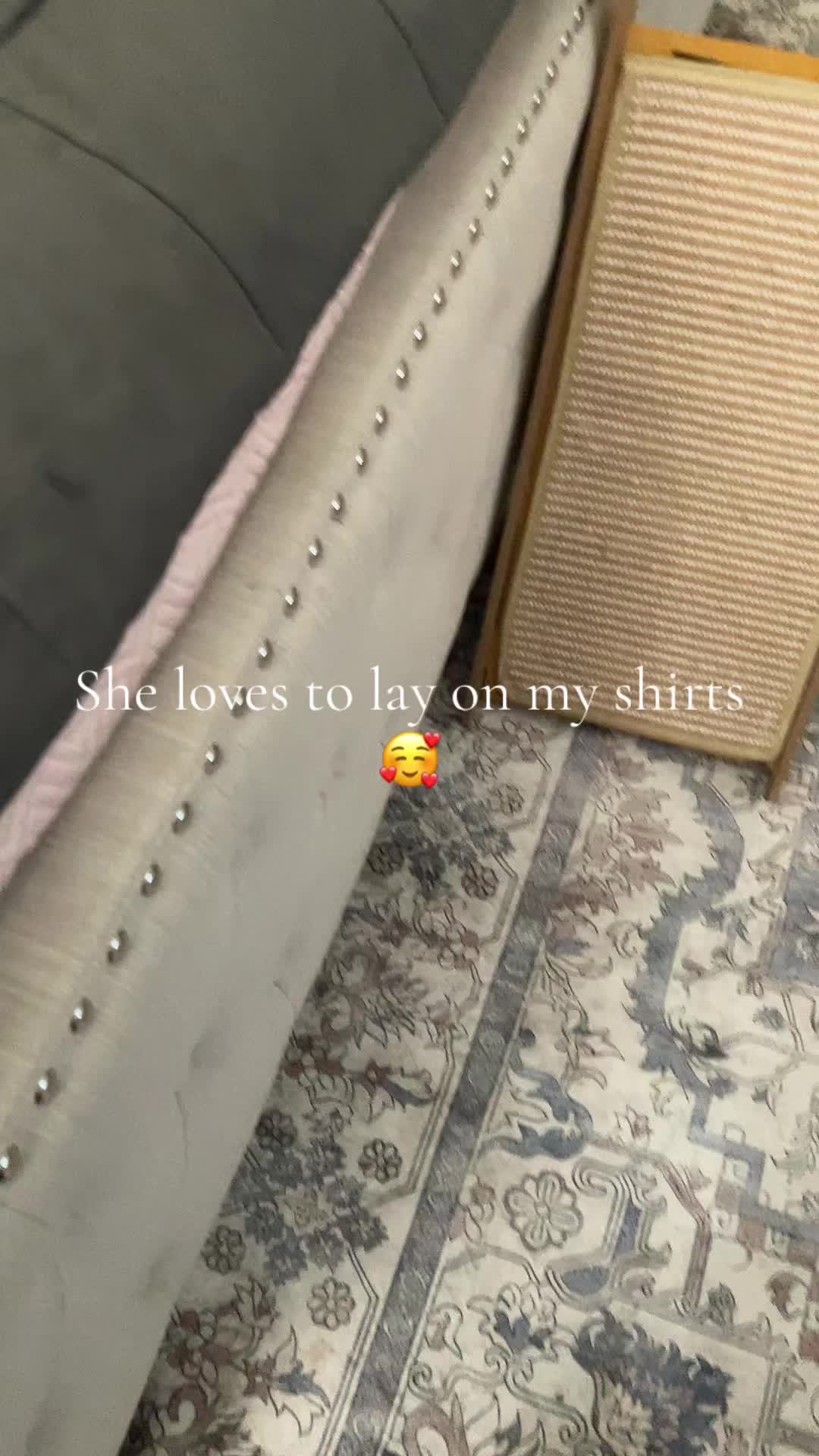 @JustmeHolly