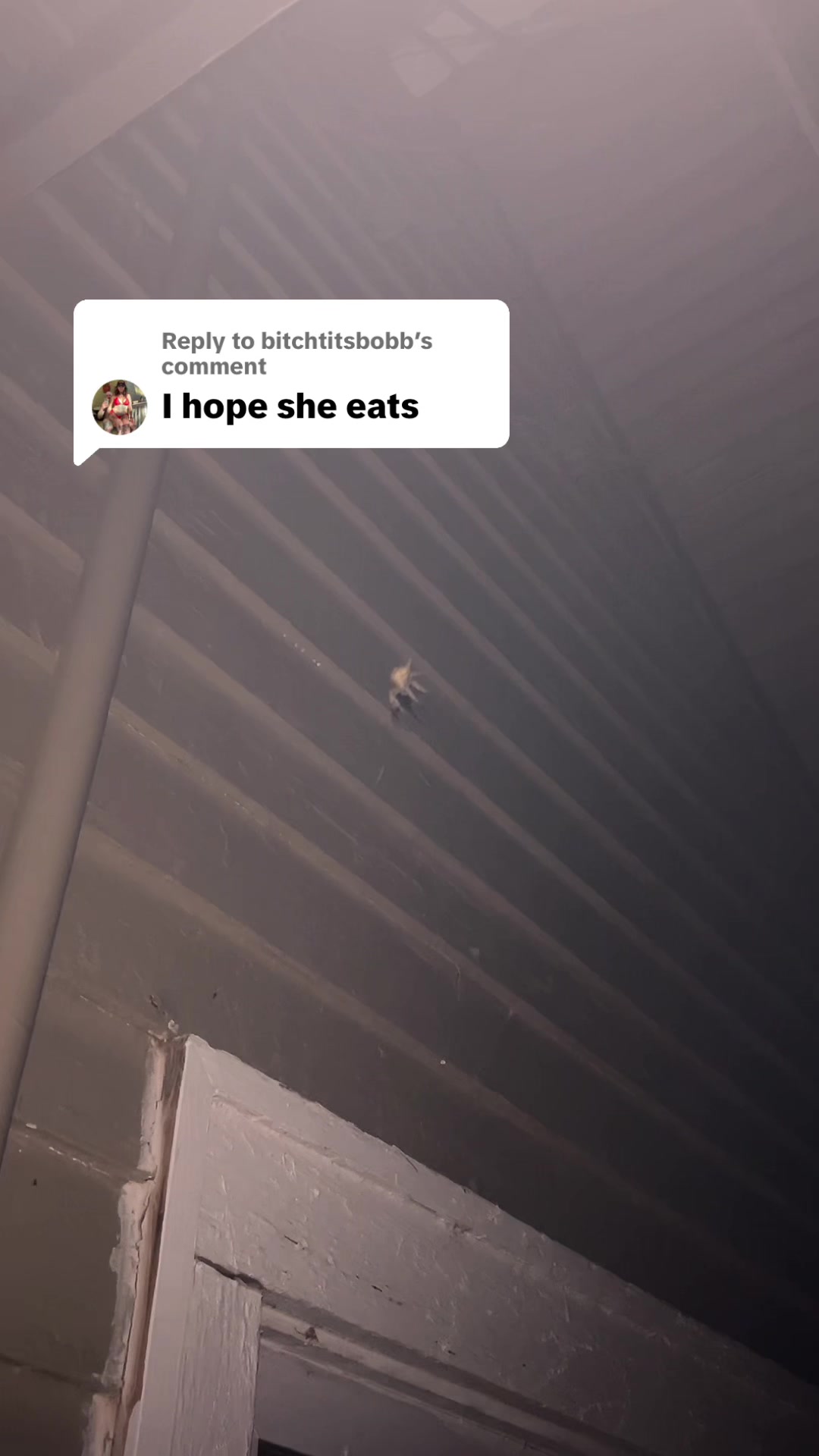@cunstatutional_minge
